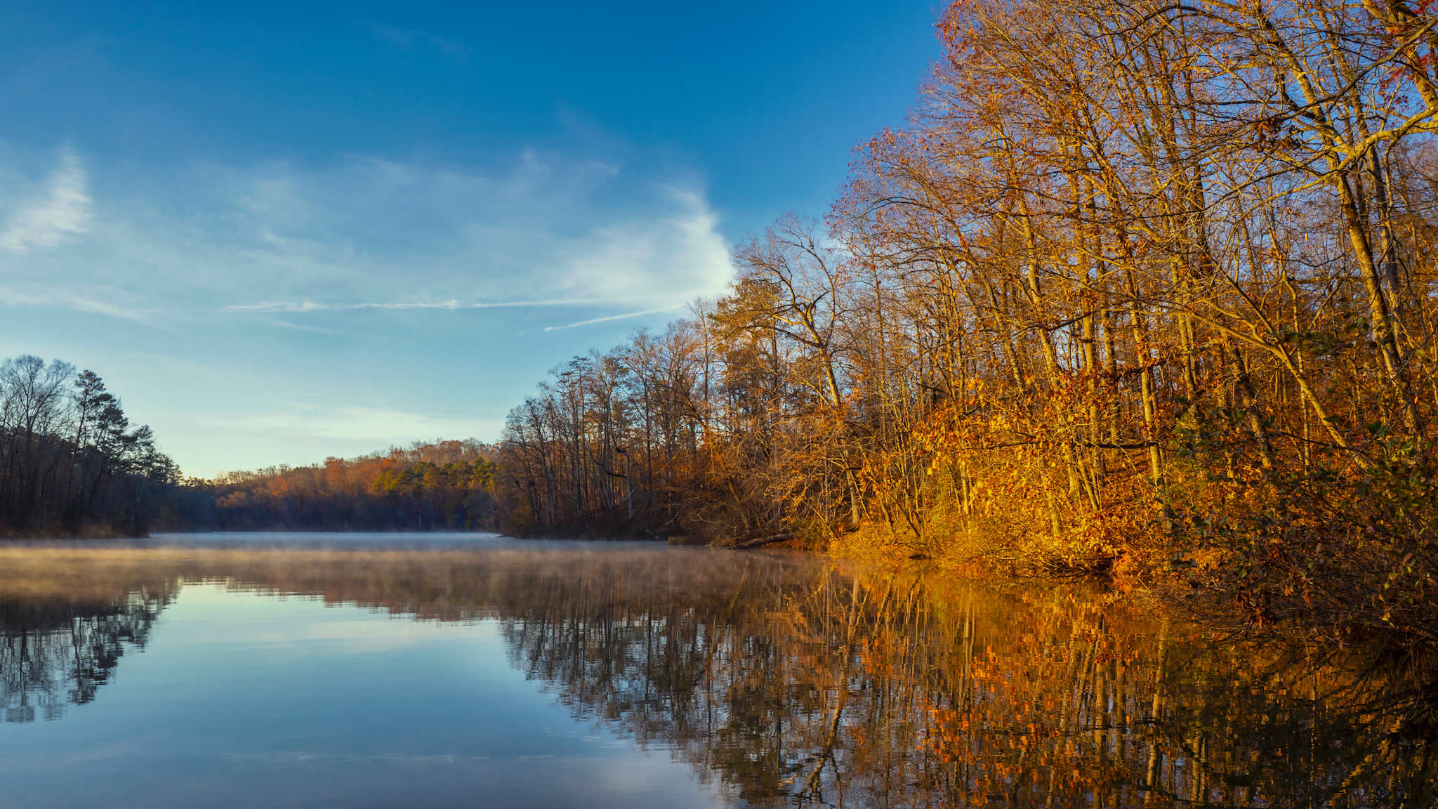 See in einem Wald bei Morgenlicht