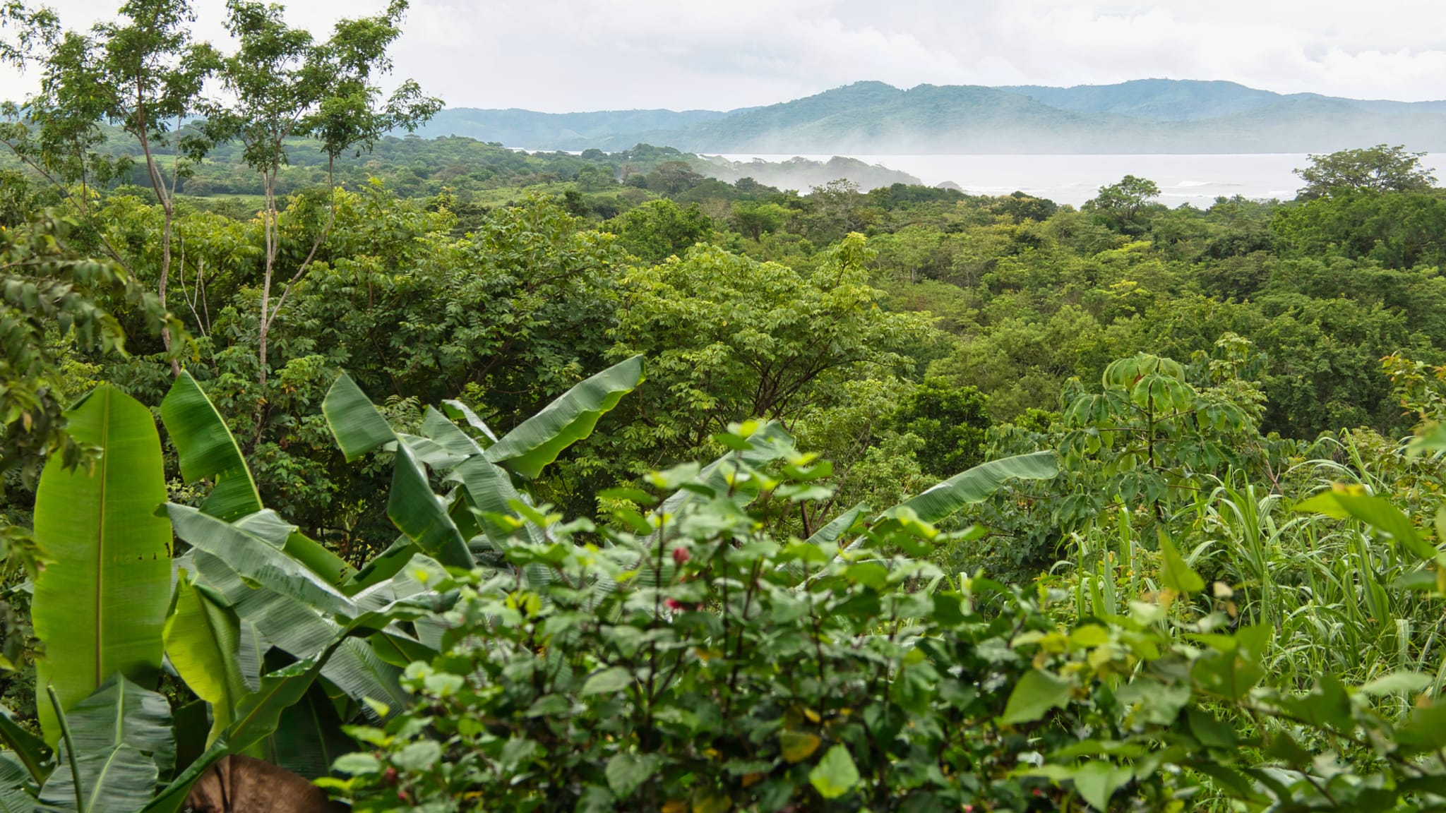 Isla Catalina, Dominikanische Republik © Judith Engbers/iStock / Getty Images Plus via Getty Images