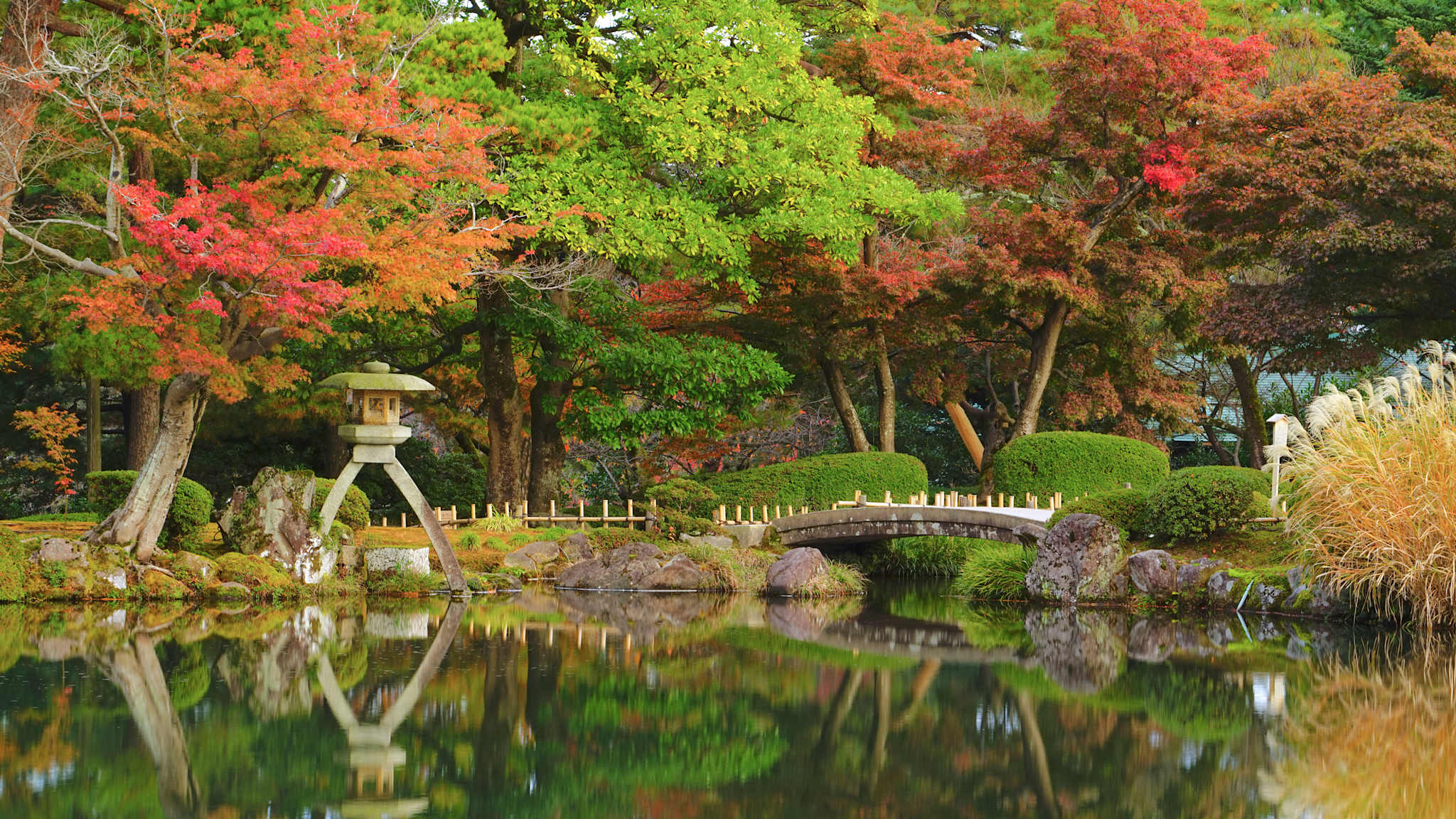 Ein Japanischer Garten mit roten und grünen Bäumen und kleinen Brücken um einen Teich herum.