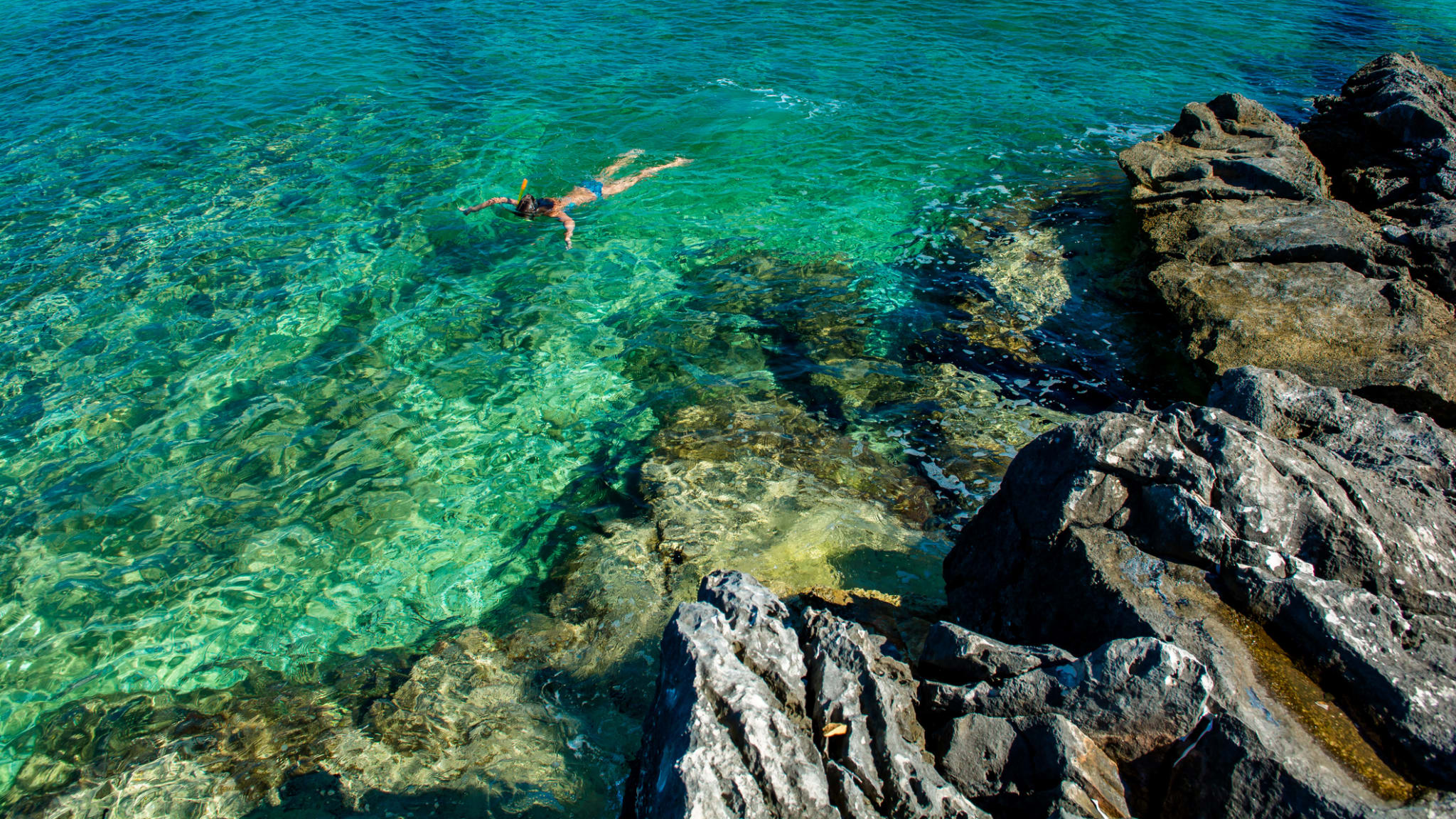 Junges Mädchen schnorchelt durch türkisfarbenes Wasser an der Küste © iStock.com/grafxart8888