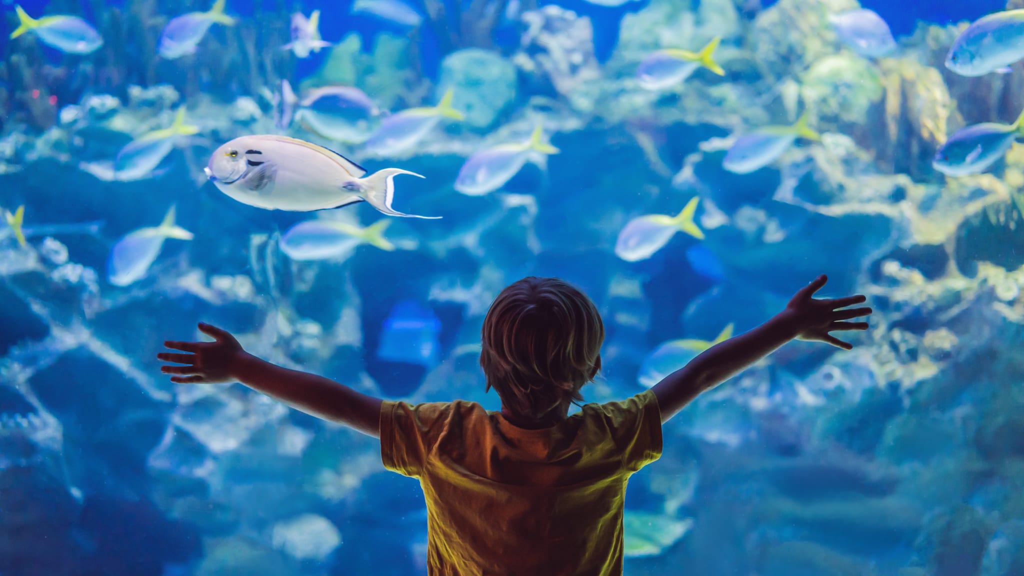 Kind im Palma Aquarium, Mallorca © galitskaya/iStock / Getty Images Plus via Getty Images