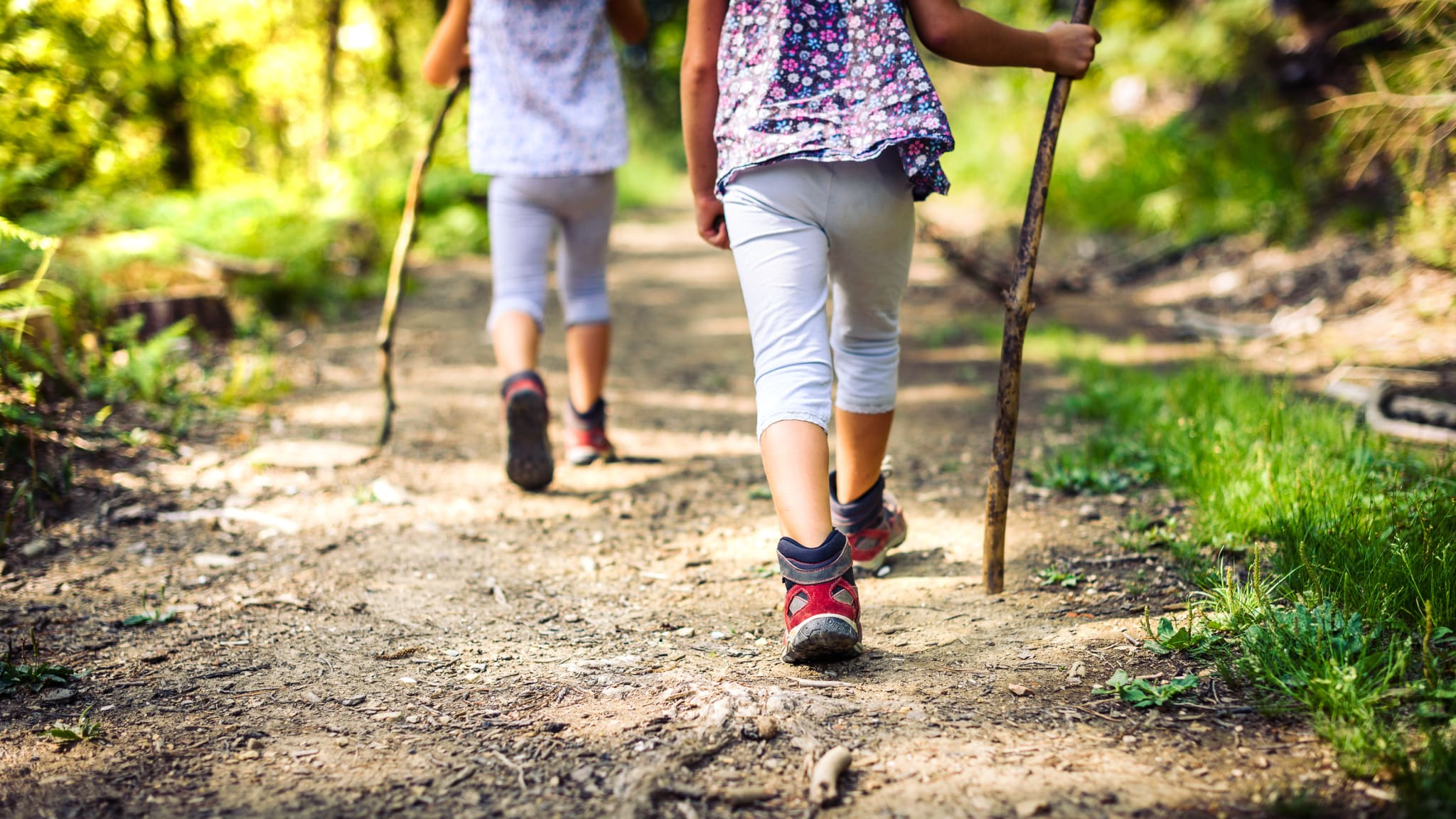 Familienspaß bei einer Wanderung im Wald © _jure - stock.adobe.com