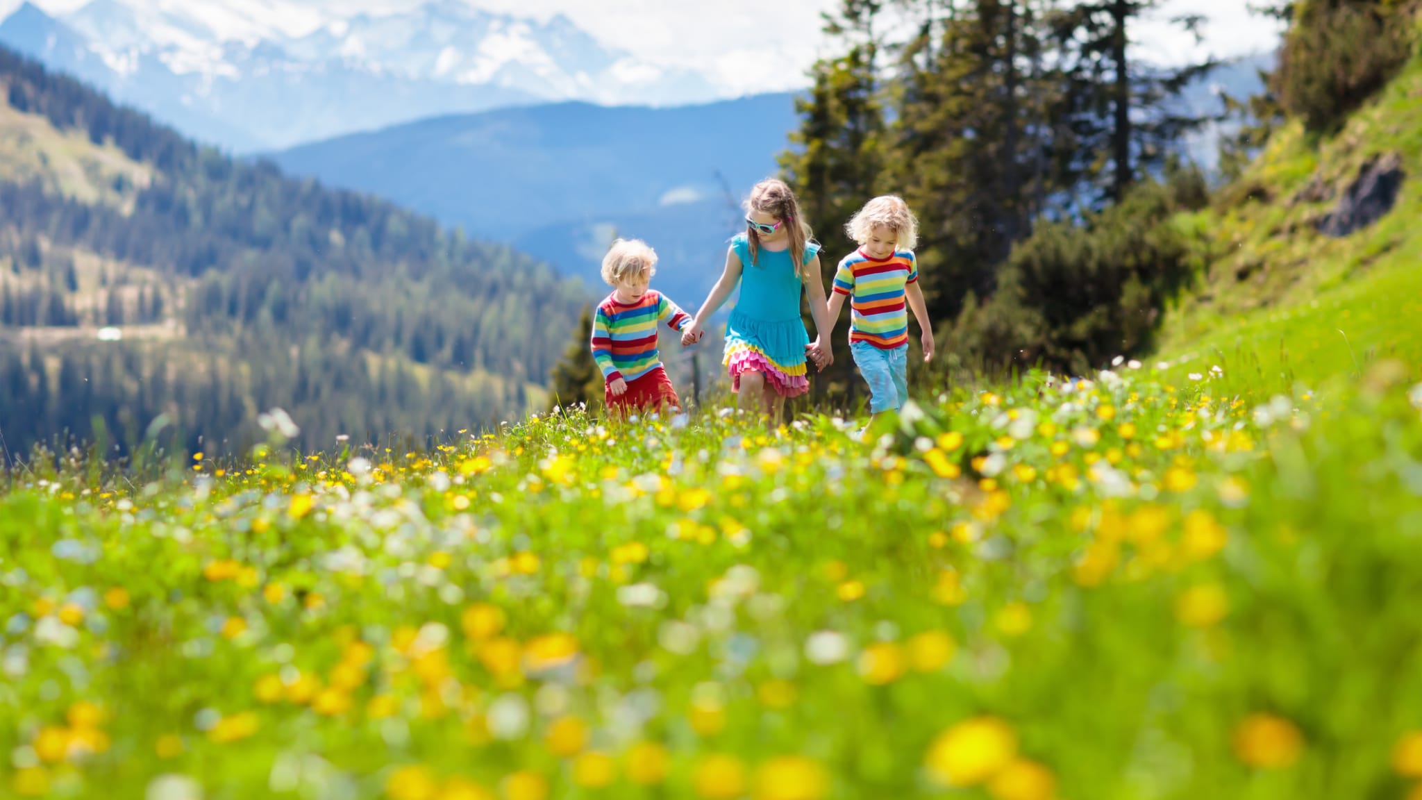 Kleiner Junge und Mädchen auf Wanderweg in blühender Almwiese © iStock.com/FamVeld