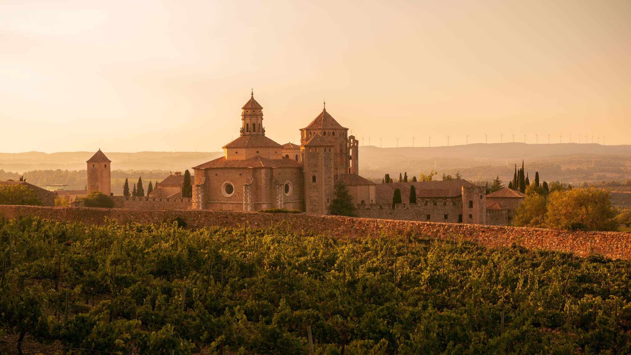Das Kloster Santa Maria de Poblet in der Morgensonne © stock.adobe.com - Rubende Antonio