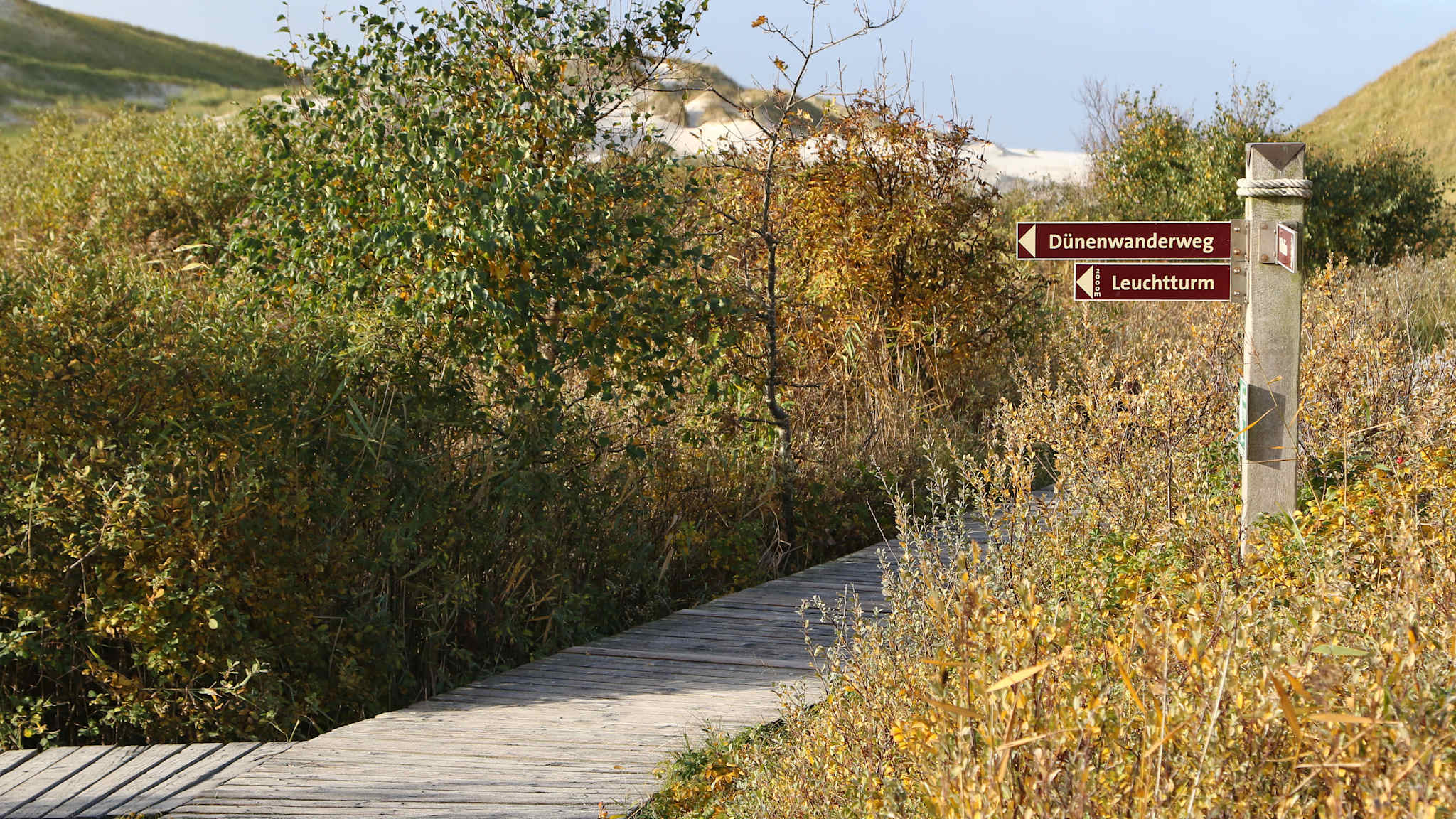 Ein Wegweiser, der Wege in Richtung einer Dünenwanderung und in Richtung eines Leuchtturms weist. Kniepsand, Wittdün, Insel Amrum, Schleswig-Holstein, Deutschland