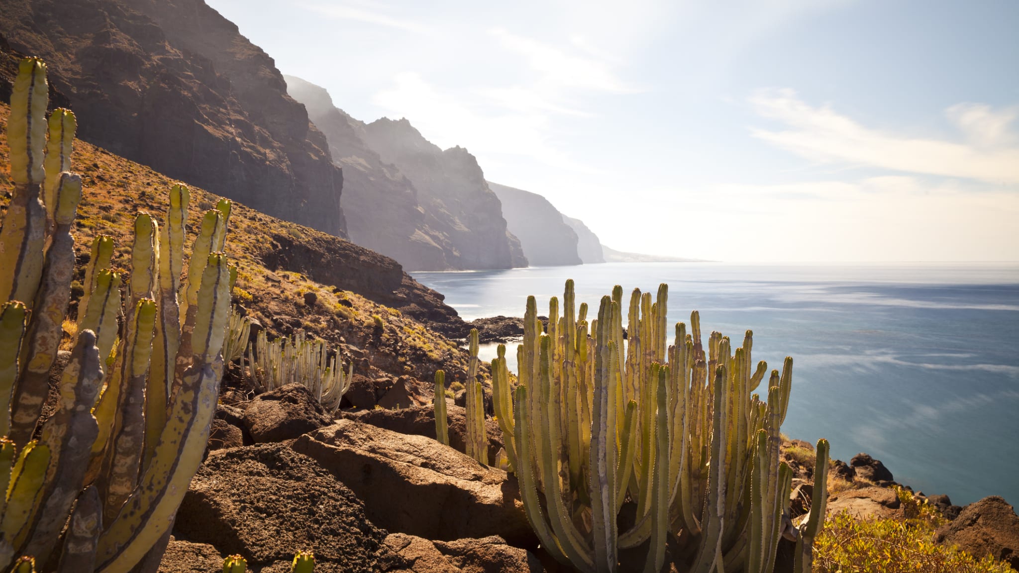 Küste im Punta de Teno, Teneriffa, Spanien