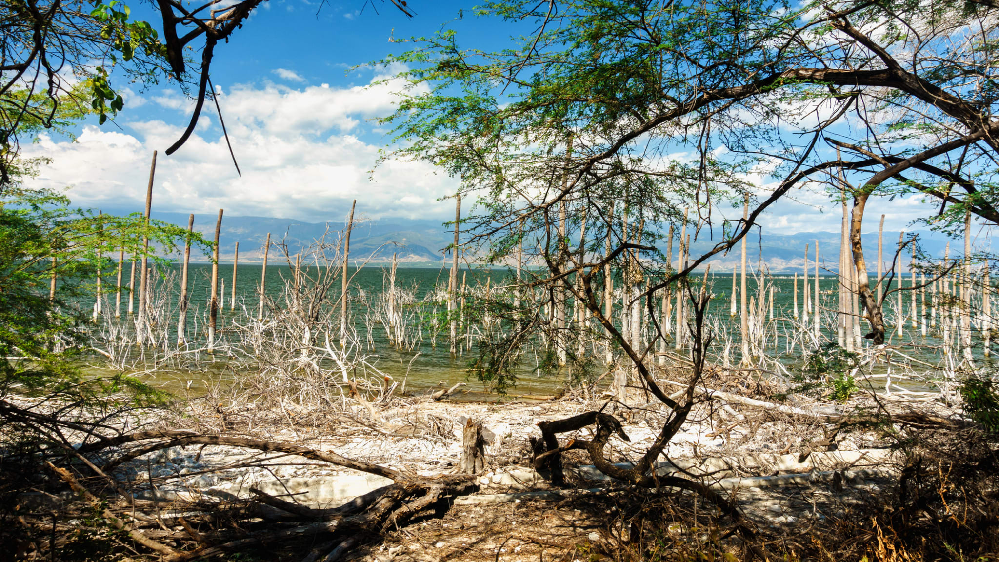 Lake Enriquillo, Dominikanische Republik © Sergii Batechenkov/iStock / Getty Images Plus via Getty Images