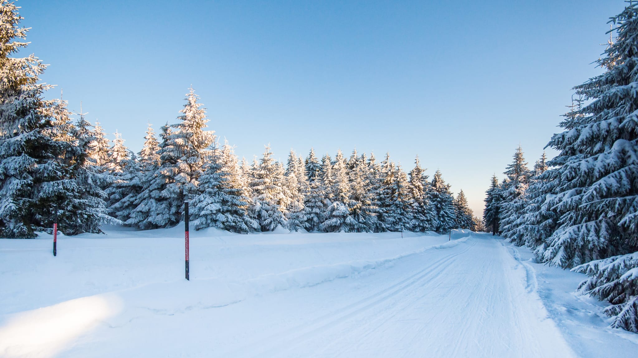 Langlaufpiste in Bayern © digital-photodesign/iStock / Getty Images Plus via Getty Images