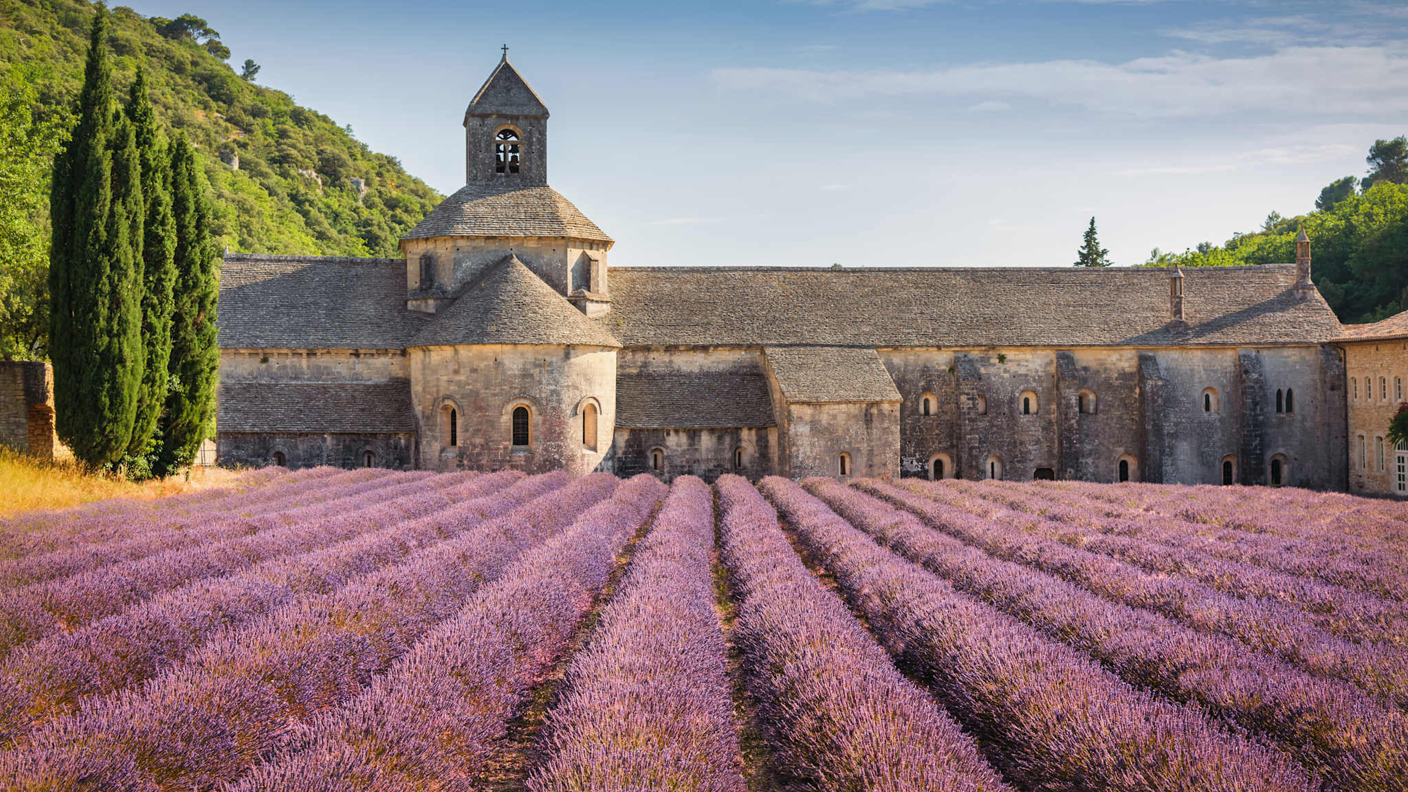 Lavendelfeld im Sommer in Provence, Frankreich © Mlenny via Getty Images