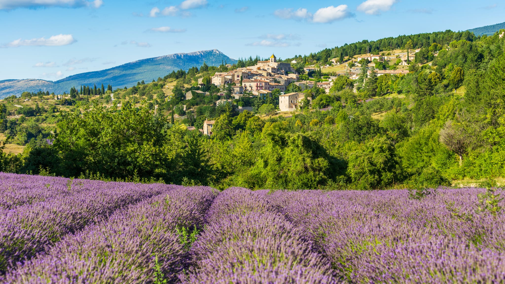 Lavendelfelder, Provence, Frankreich © Serbek/iStock / Getty Images Plus via Getty Images