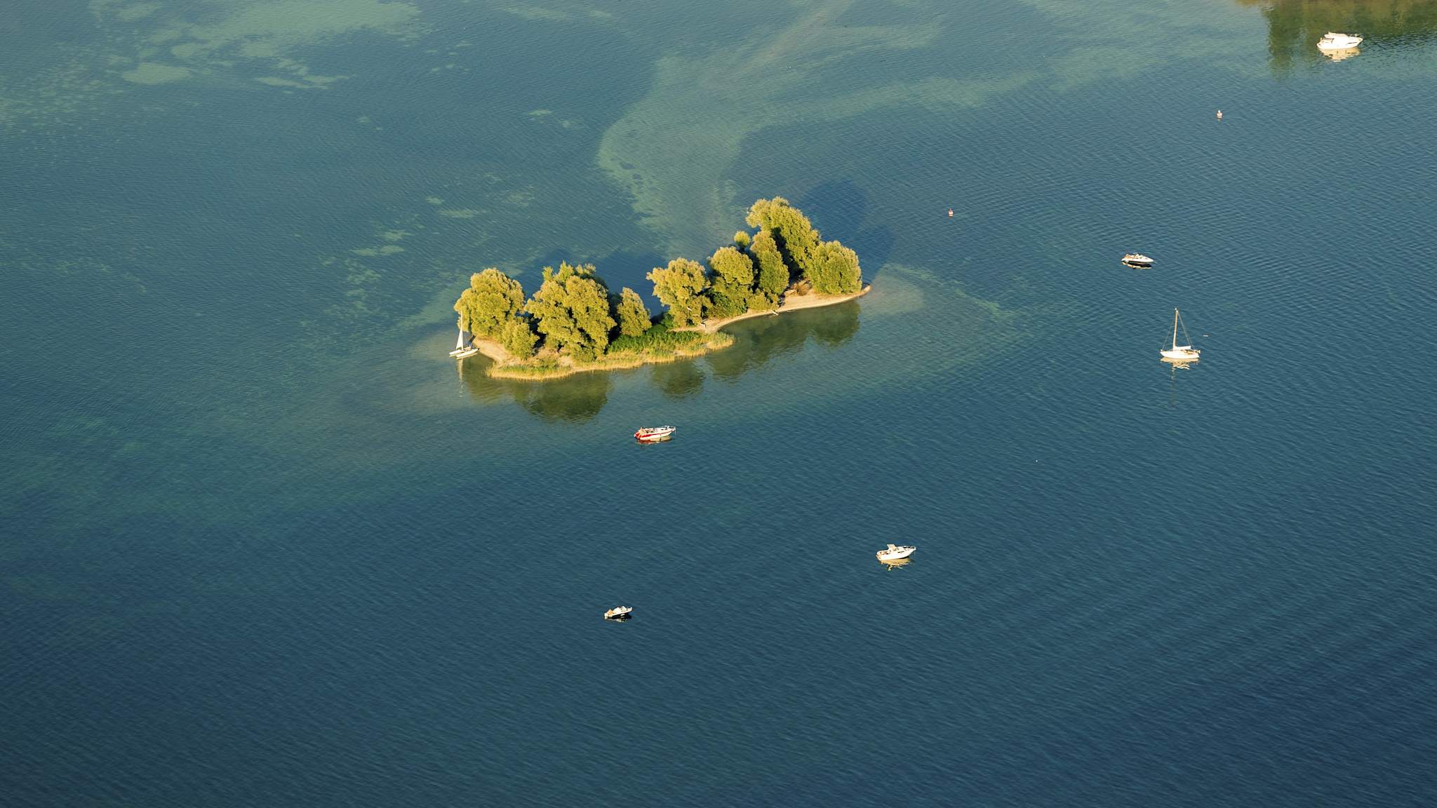 Eine sehr kleine Insel im Bodensee, umgeben von Booten