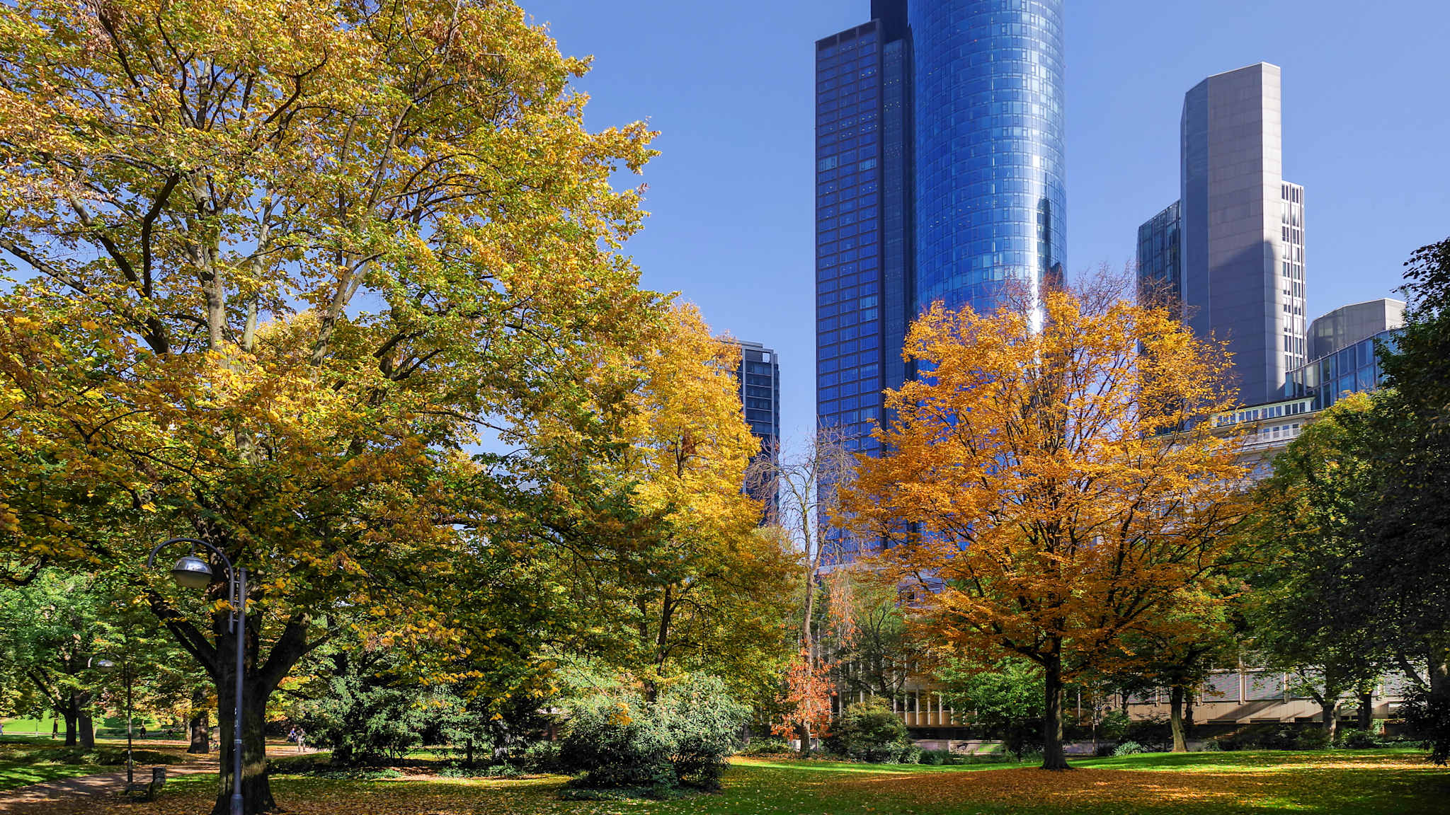 Blick von unten auf ein Hochhaus mit herbstlich gefärbten Bäumen im Vordergrund