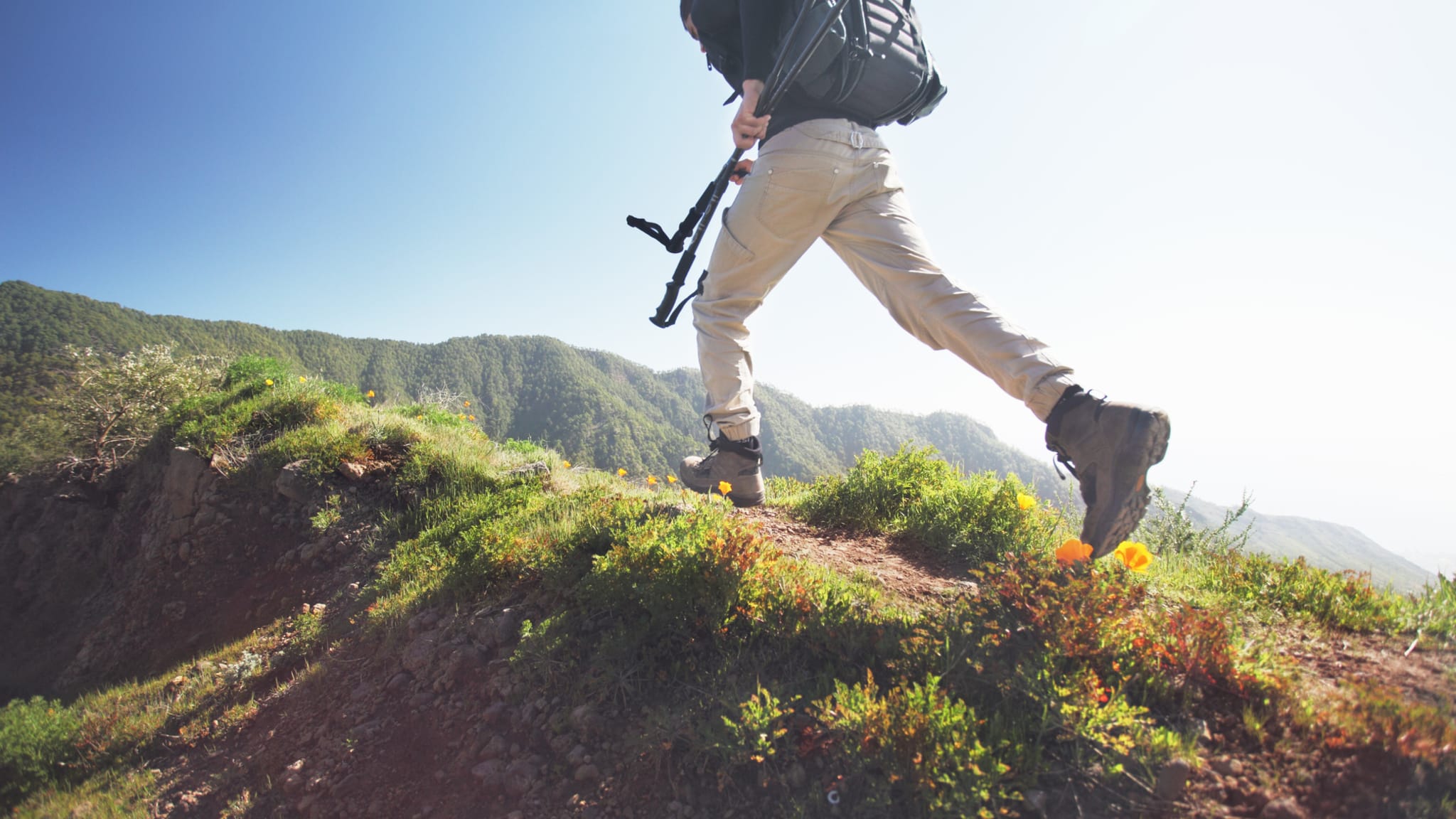 Mann wandert auf den Kanaren © Stanislaw Pytel/Stone via Getty Images