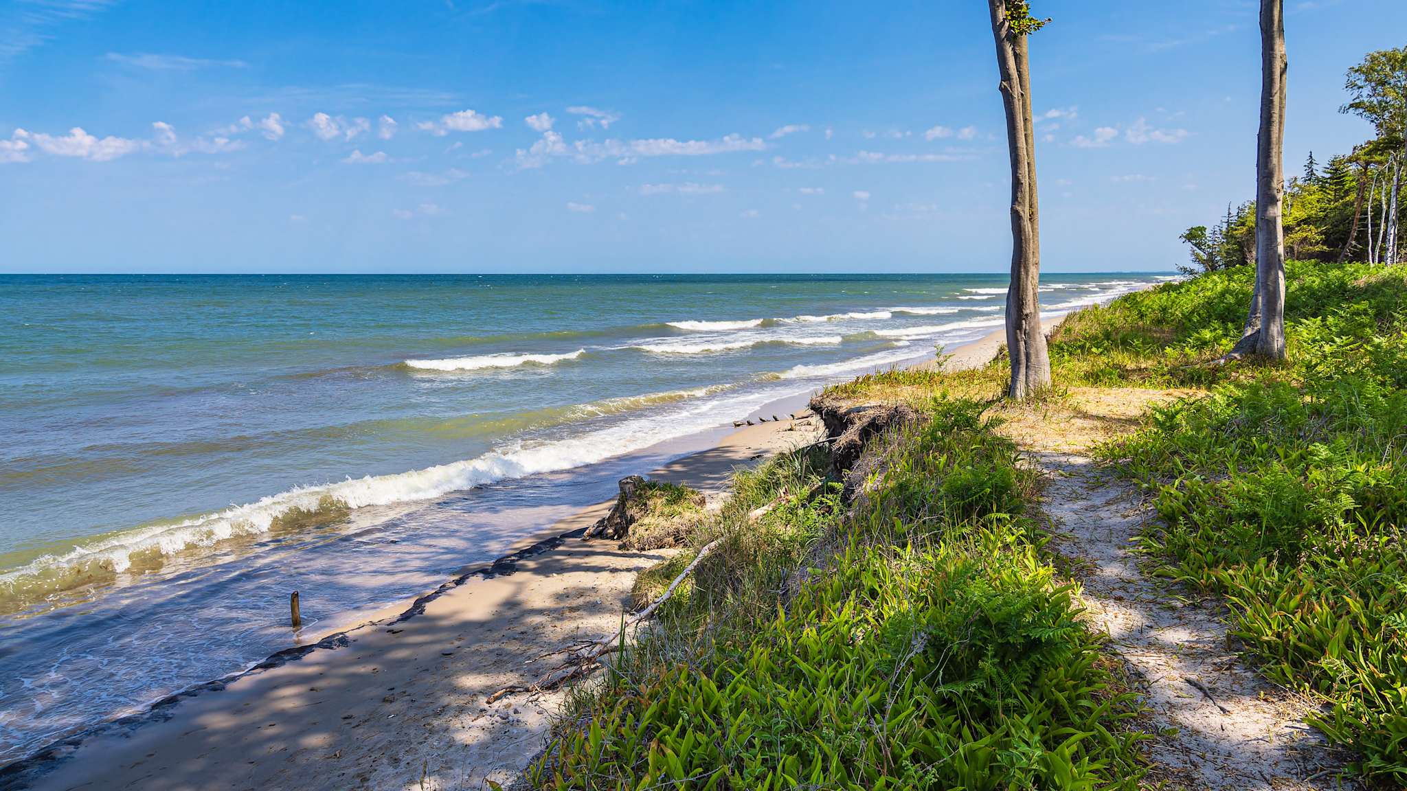 Schmaler Strandabschnitt mit einzelnen Bäumen und viel Grün