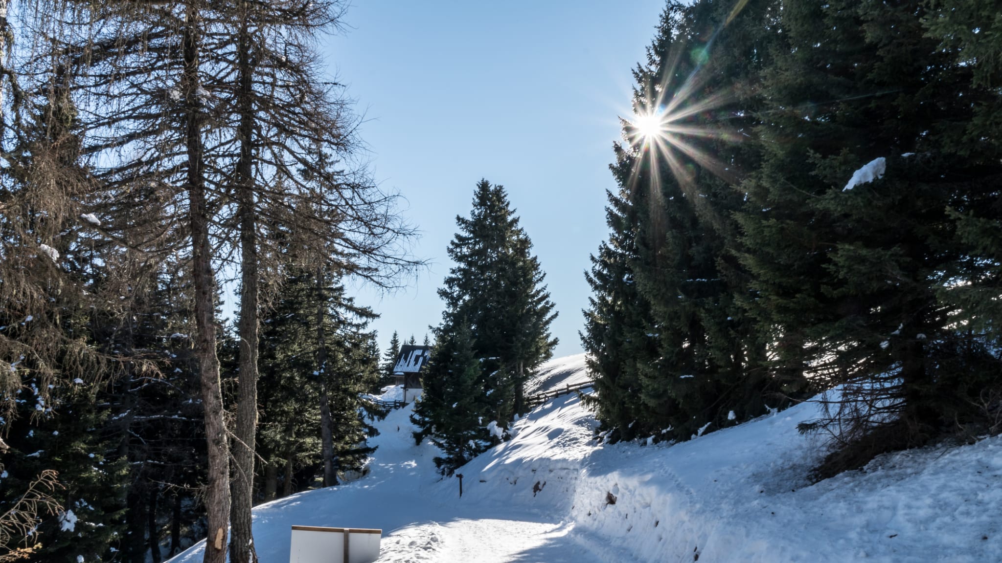 Meran 2000, Südtirol © Daniel_Malinowski/iStock / Getty Images Plus via Getty Images