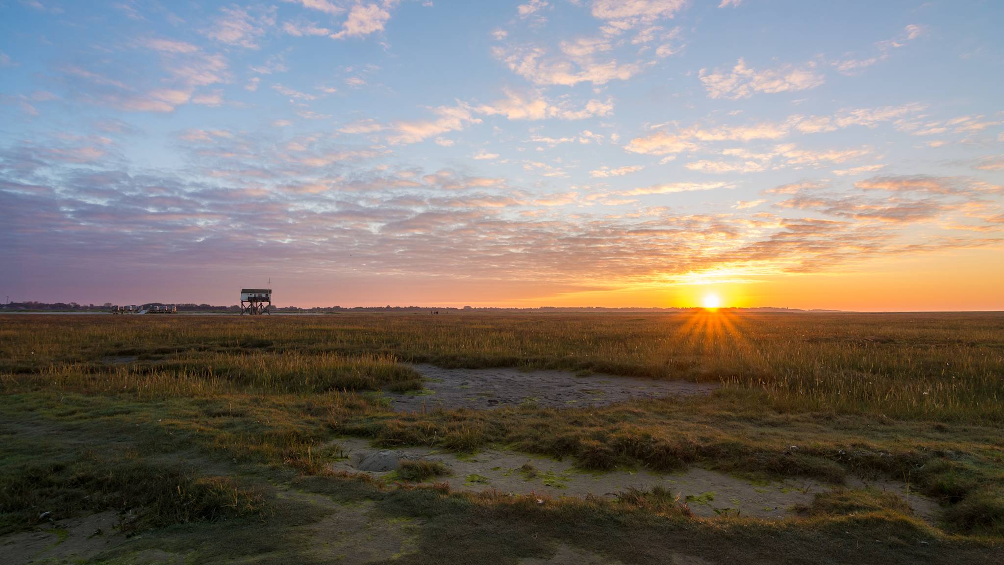 Morgendämmerung am Wattenmeer in Böhl, St. Peter Ording, Schleswig-Holstein