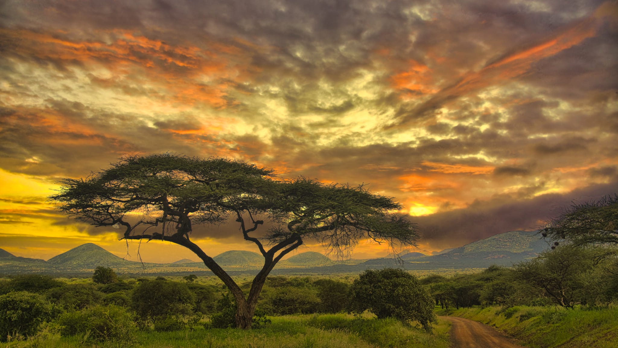 Nationalpark Tsavo Ost, Tsavo West und Amboseli ©HPS-Digitalstudio/iStock / Getty Images Plus via Getty Images