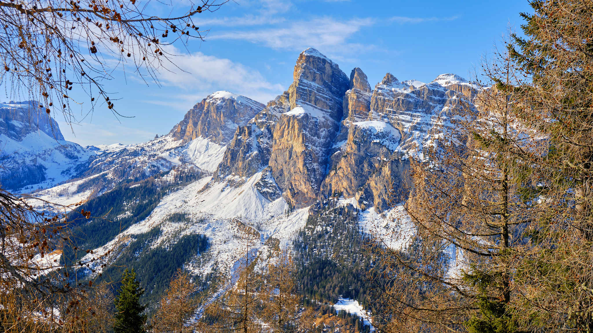 Ausblick durch Bäume auf verschneite Gebirgskette im Naturpark Puez-Geisler.