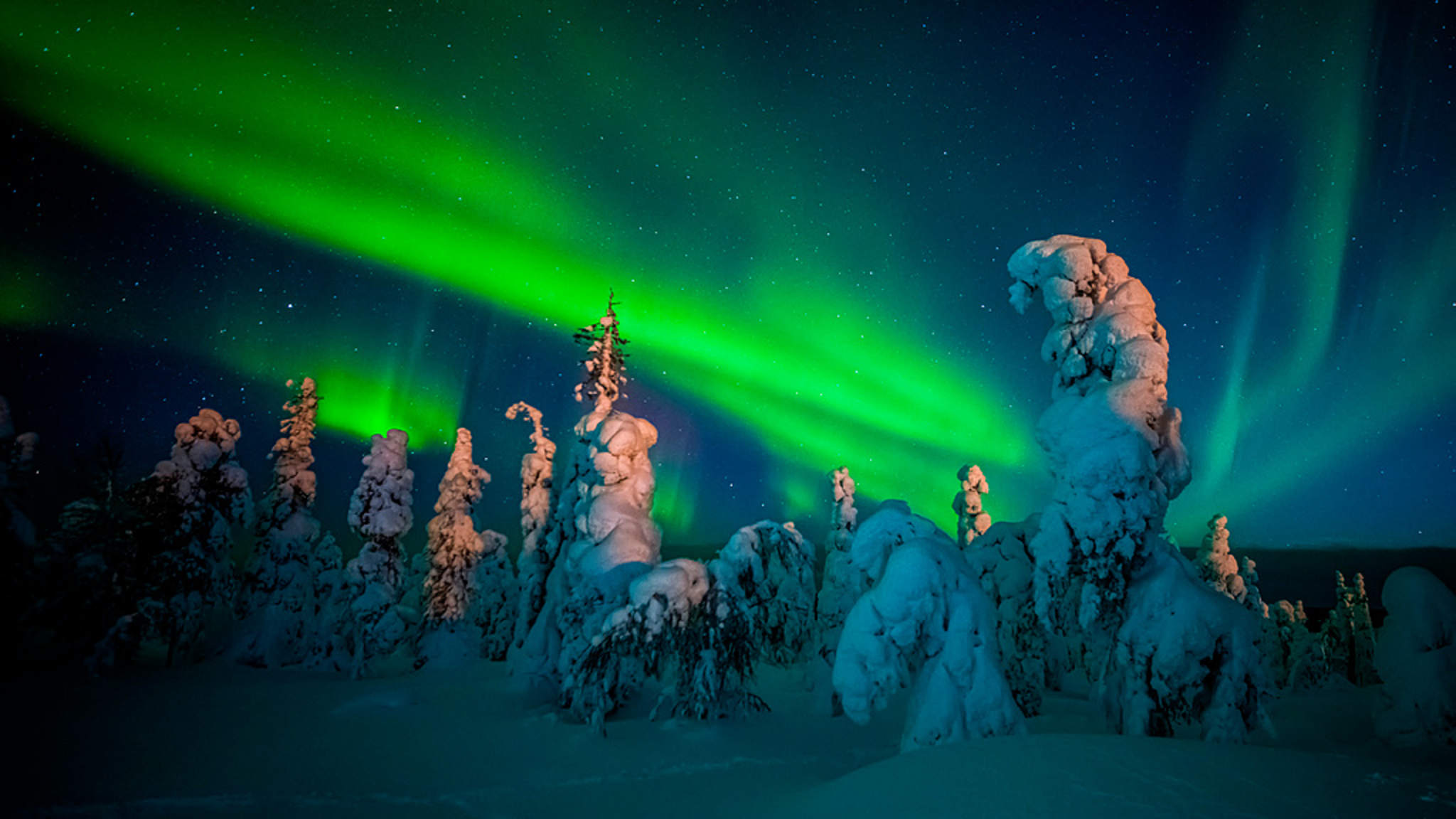 Nordlichter in Lappland, Finnland, Skandinavien ©Martha Feustel/HUBER IMAGES
