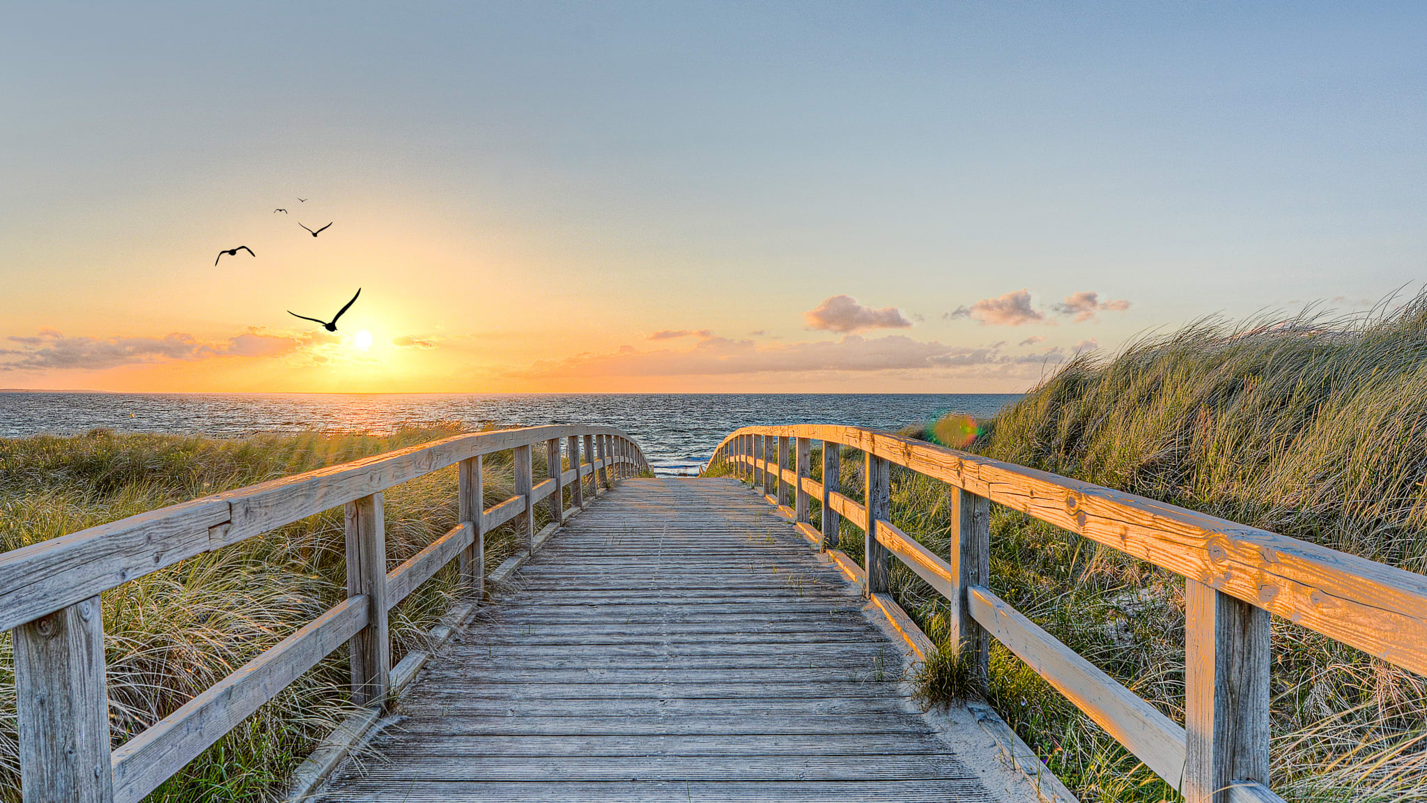 Ein langer Holzweg der Richtung Meer führt. Die Sonne geht unter und die Vögel fliegen über das Meer © Marco2811 - stock.adobe.com