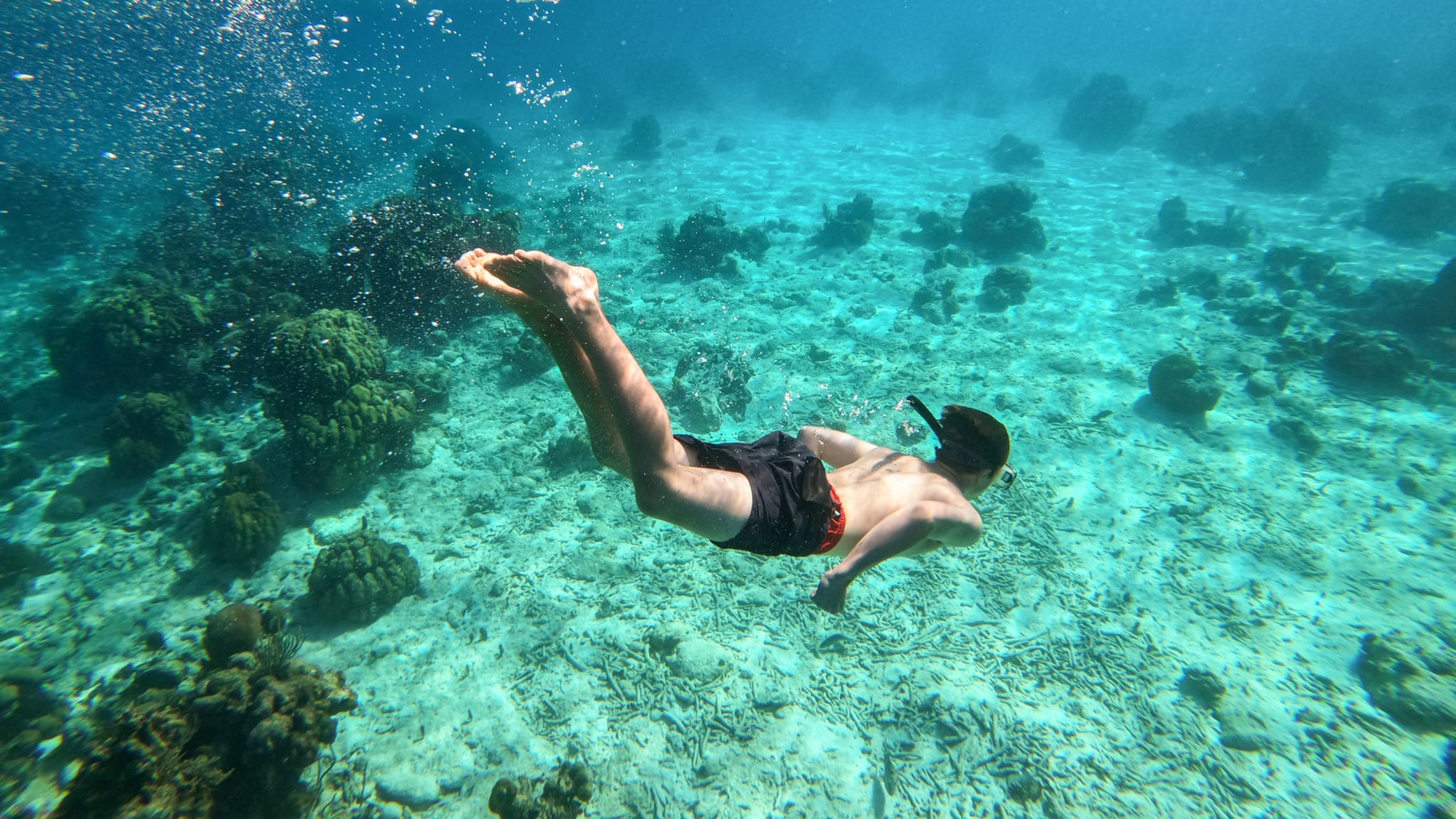 Schweinebucht (Bahia de Cochinos) in Kuba ©Paul Biris/Moment via Getty Images