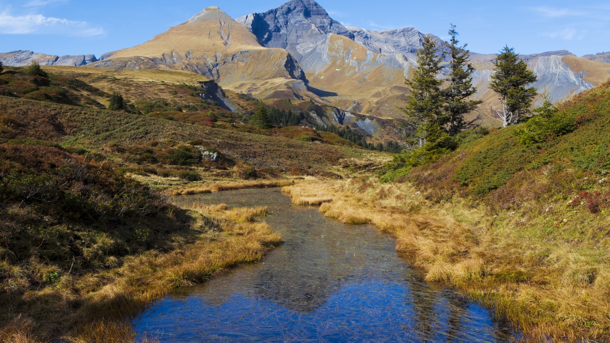 Pond life mit Schwarzhorn und Gemschiberg©LucynaKoch/iStock / Getty Images Plus via Getty Images