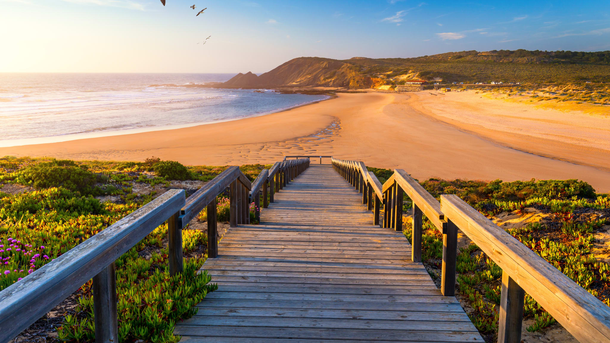 Praia da Amoreira in Portugal © daliu - stock.adobe.com