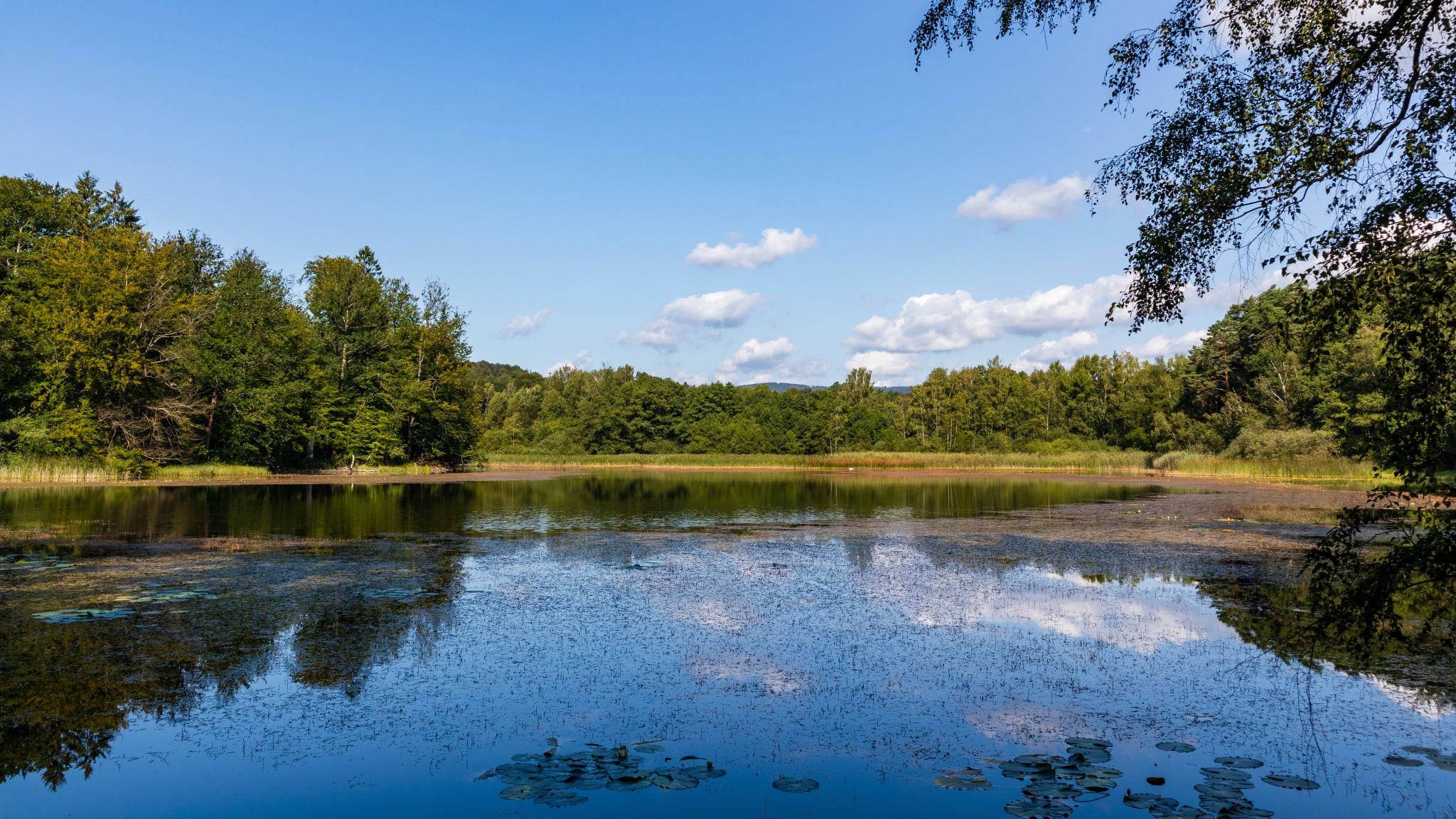 Priorteich Walkenried, Harz © KlausDieter - stock.adobe.com