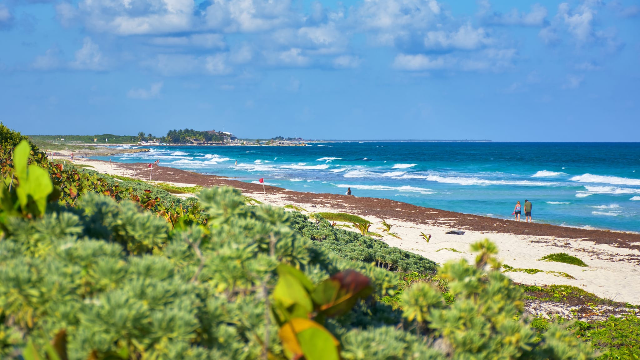 Punta Morena auf Cozumel ©Eder Maioli/iStock / Getty Images Plus via Getty Images
