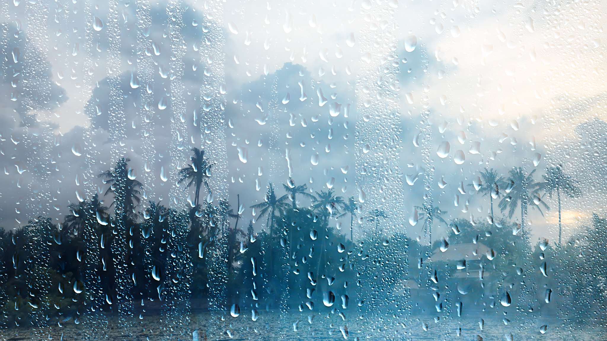 Fensterscheibe voller Regentropfen mit Regenwald im Hintergrund.