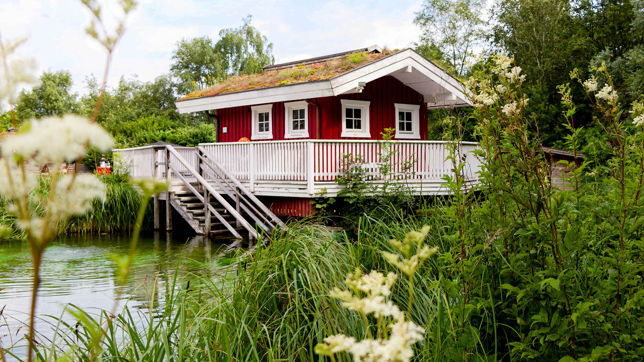 Rote skandinavisch anmutende Saunahütte mit Gründach und Holzterrasse, auf Stelzen über einem natürlichen Teich gelegen, umgeben von grüner Vegetation in der Friesentherme Emden.