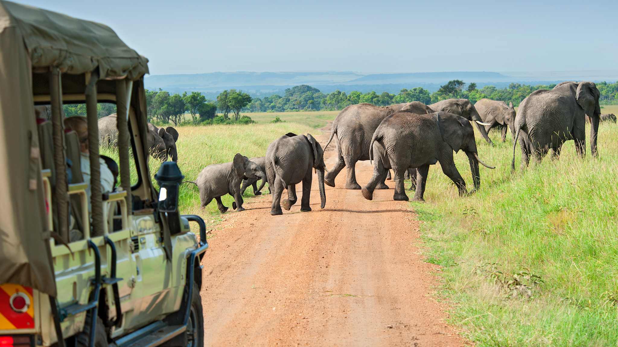 Safari, Masai, Afrika ©guenterguni via GettyImages