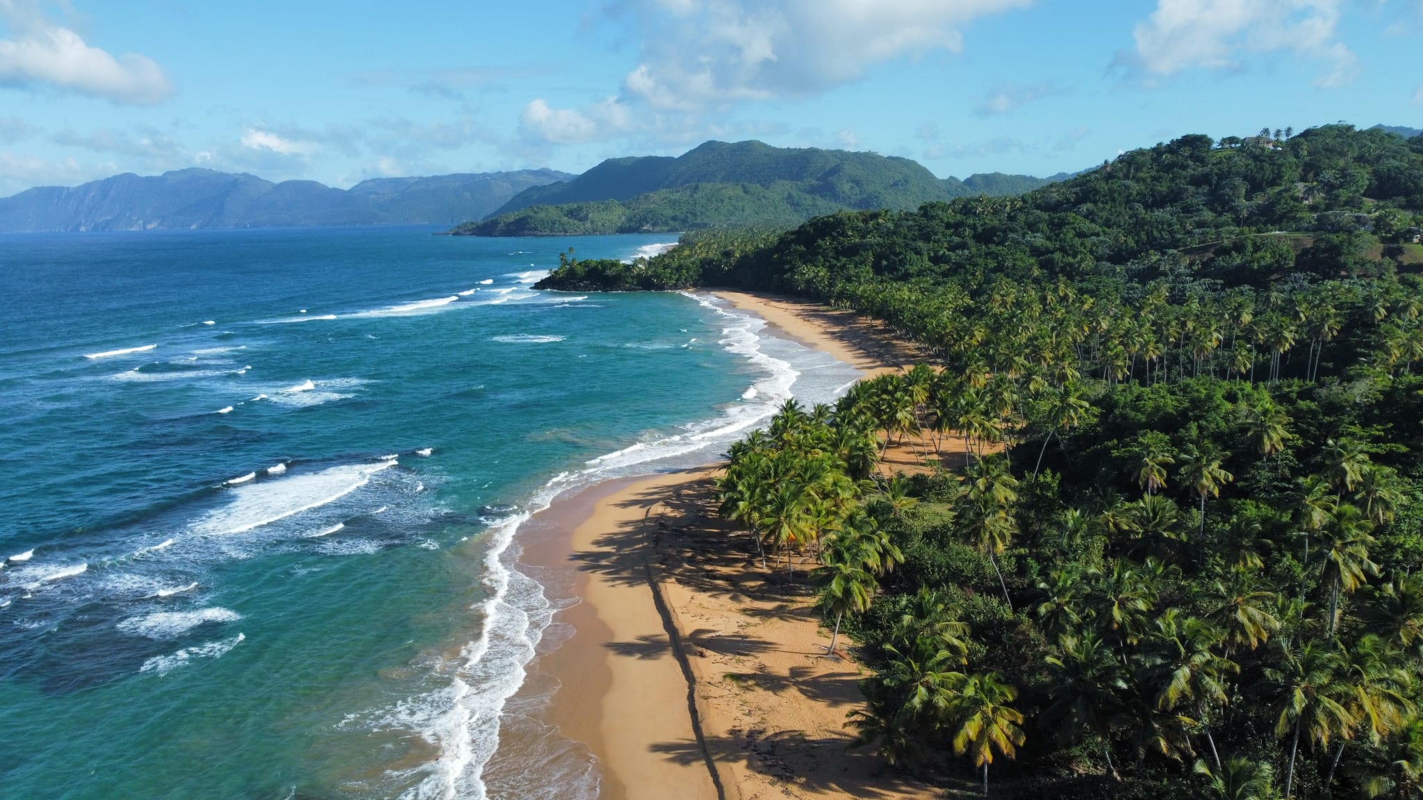 Blick auf einen weiten Strand mit vielen Palmen