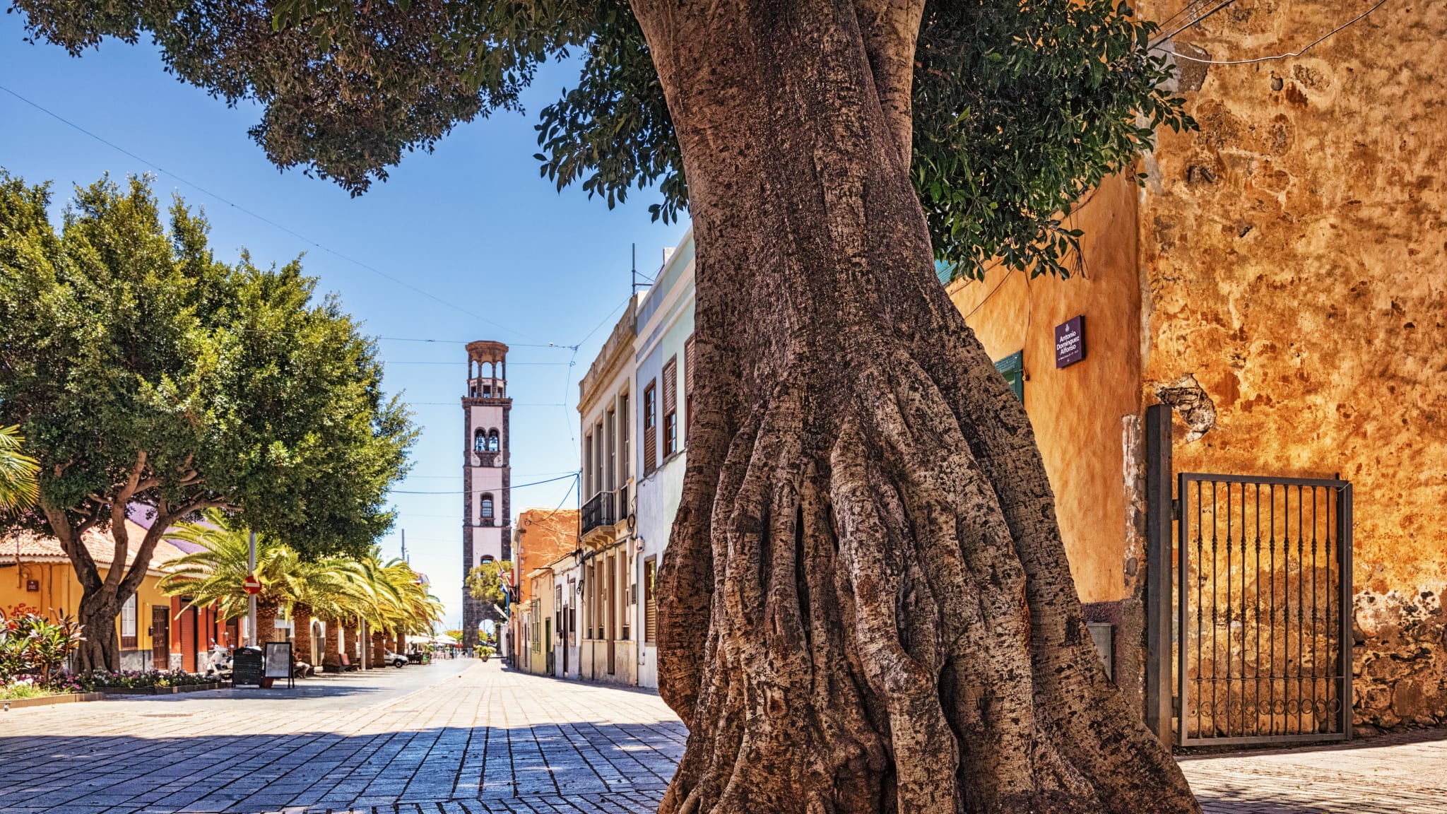 Santa Cruz, Teneriffa © stock.adobe.com - Guillermo Enrique