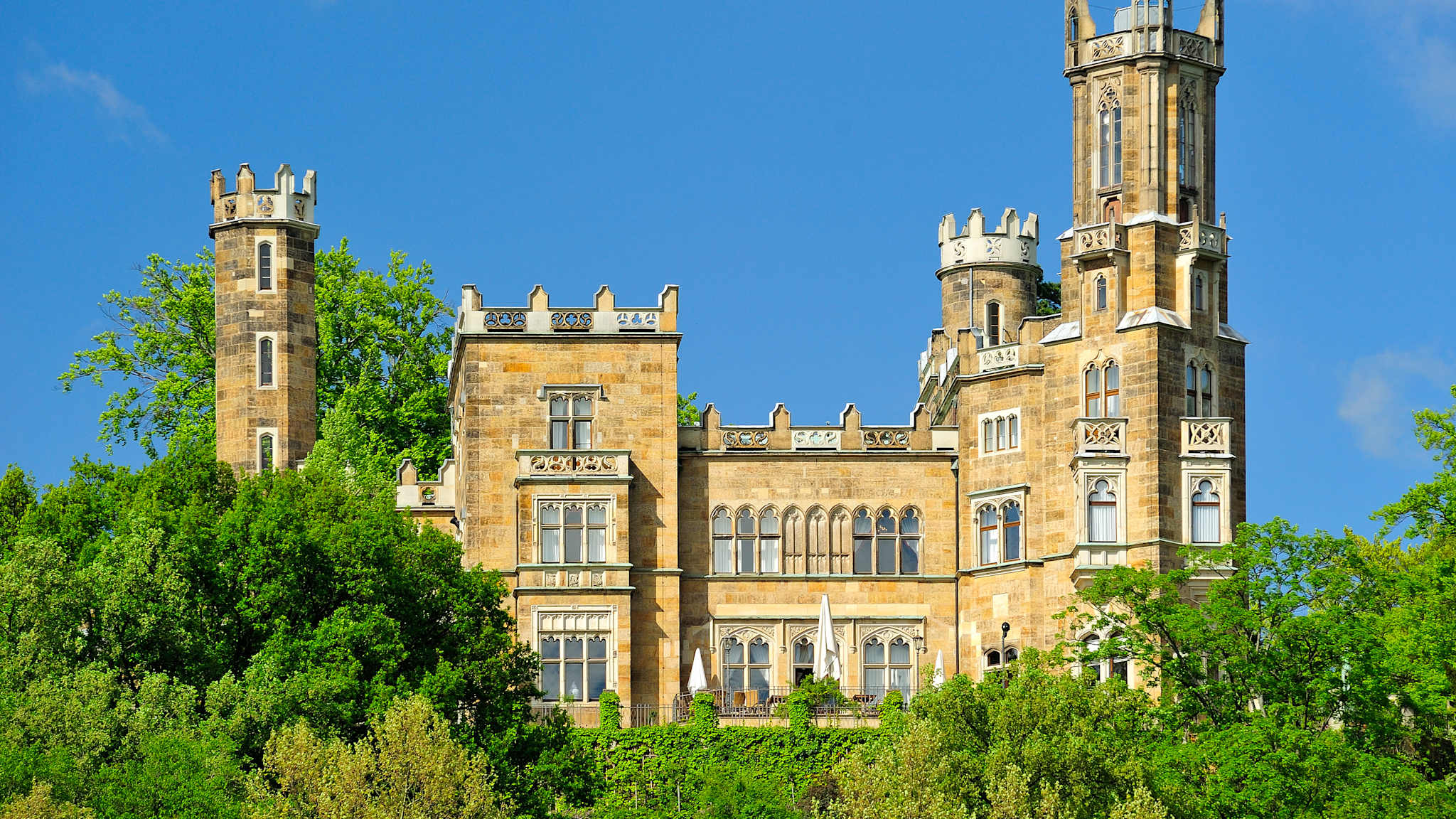 Historisches Schloss, umgeben von Bäumen