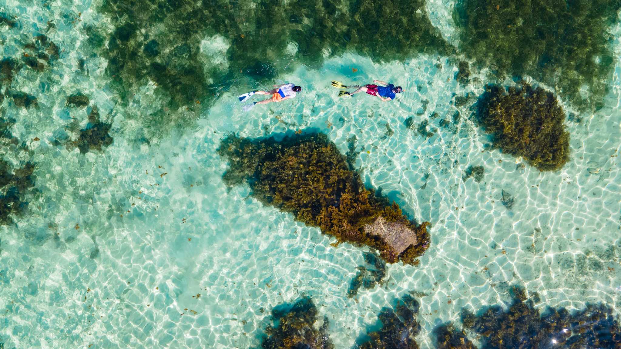 Blick von oben auf zwei schnorchelnde Personen im Meer