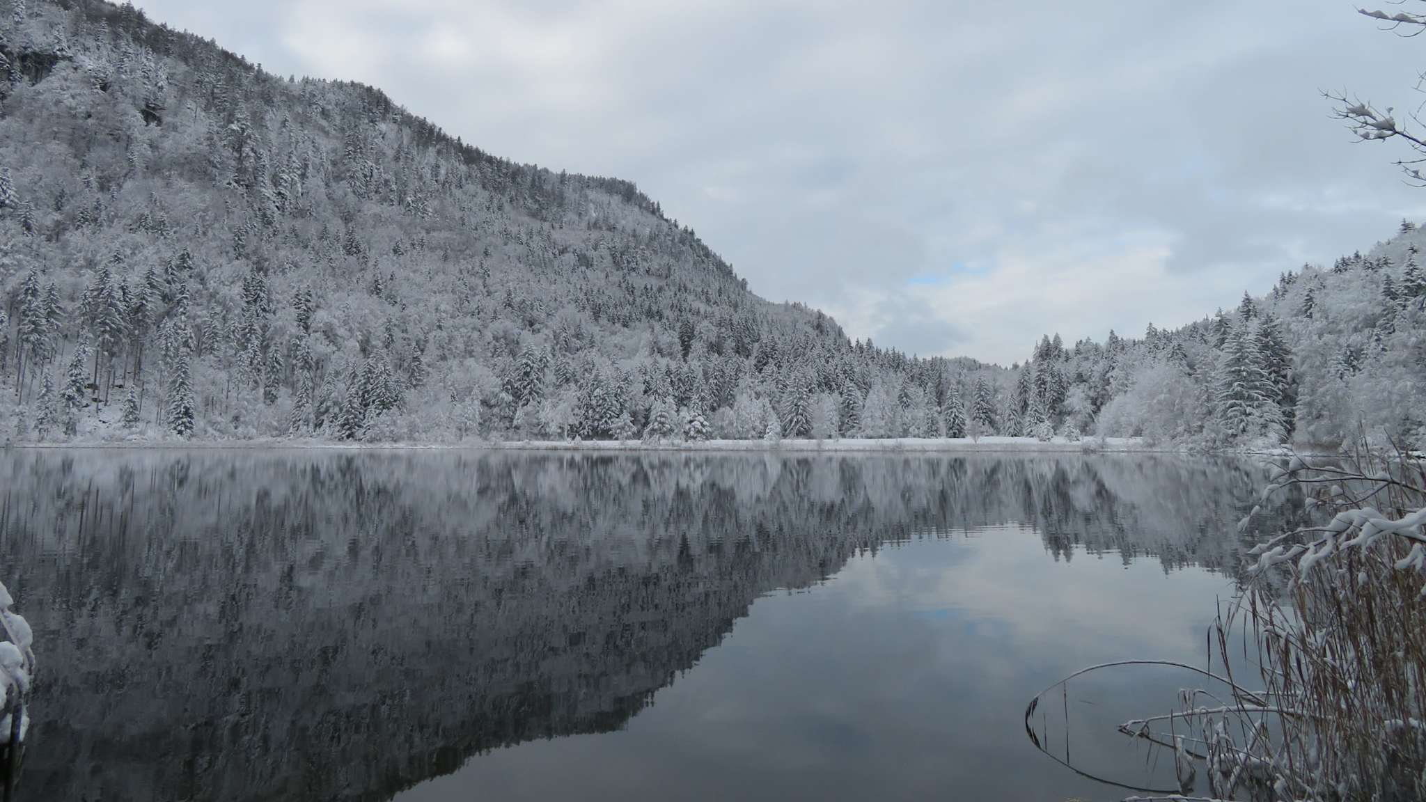 Schwansee im Winter, umgeben von verschneiten Hügeln und Wäldern, mit Blick auf die verschneite Allgäuer Landschaft.