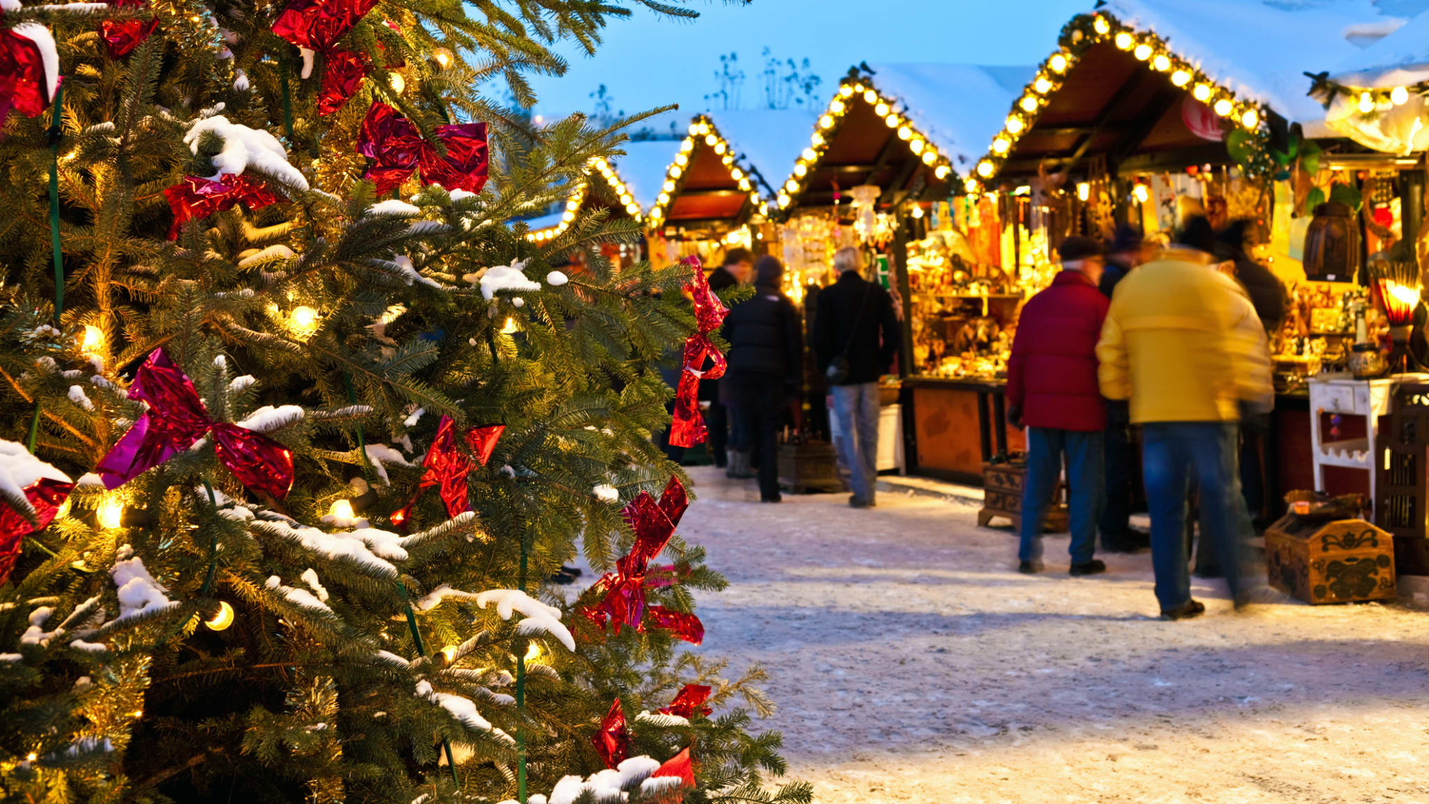 Schweinhütter Waldweihnacht ©iStock.com/querbeet