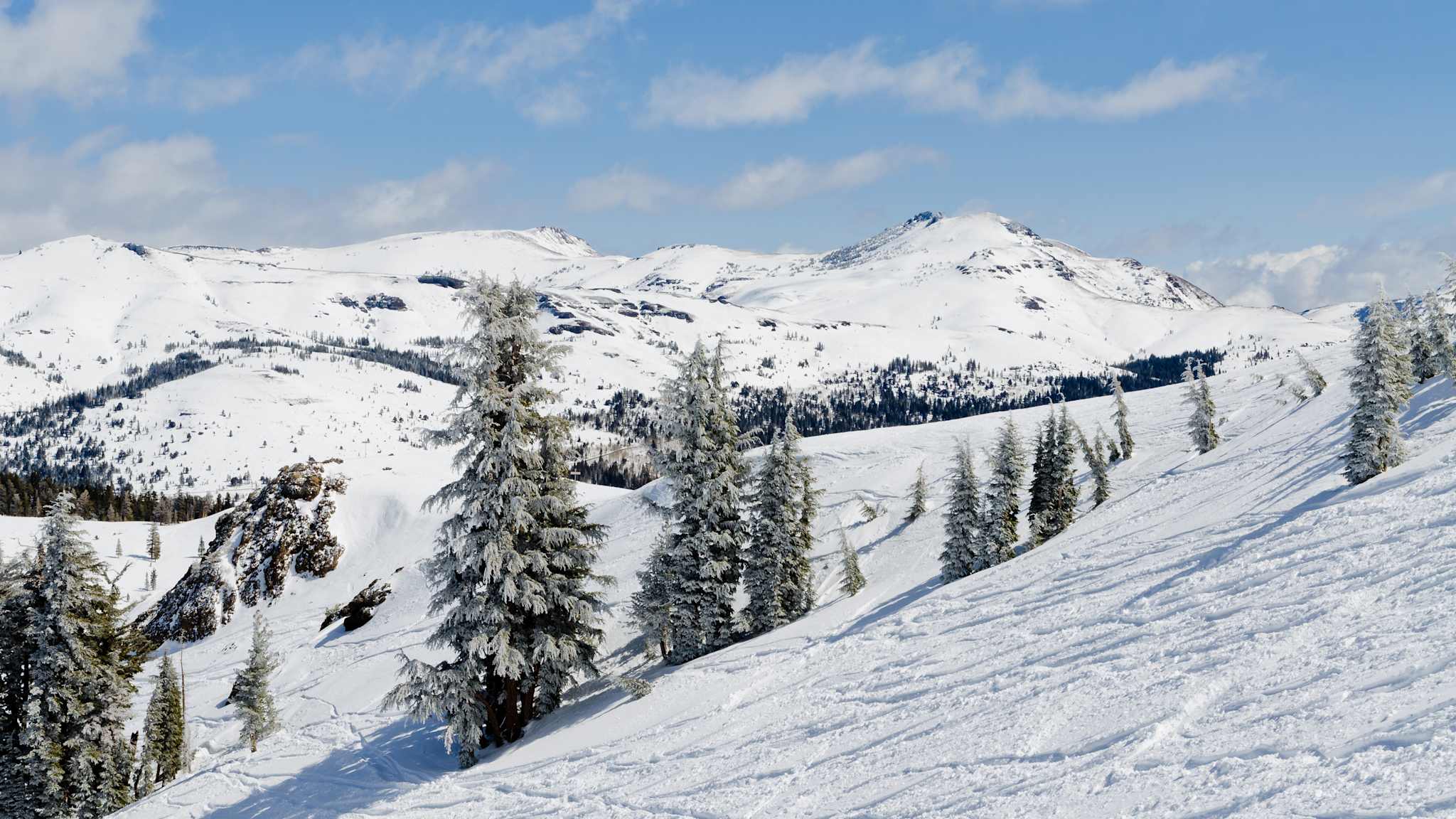 Verschneite Gipfelzüge und Tannen in Sierra Nevada.