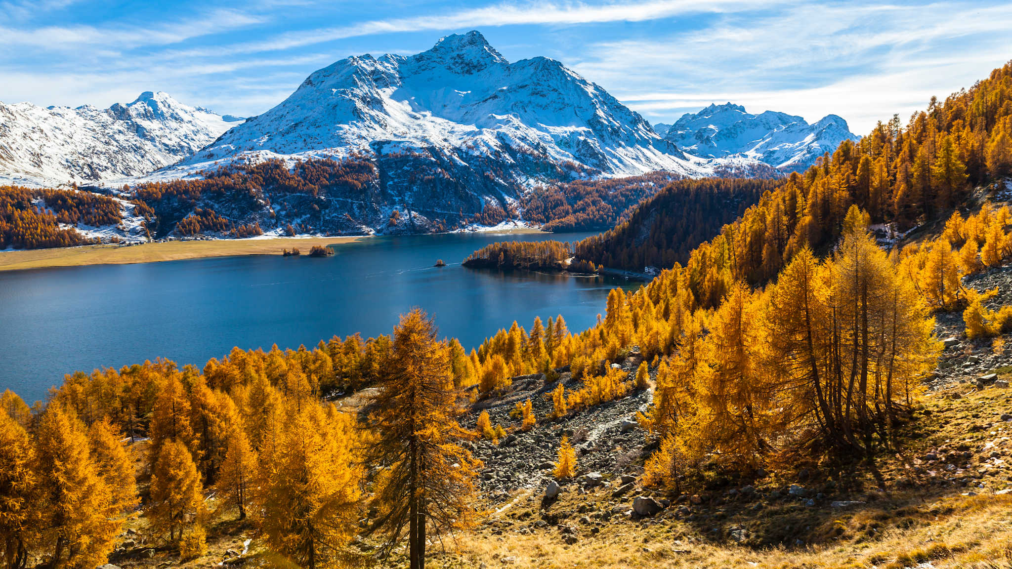 Ausblick über Sils See mit verschneiten hohen Bergen im Hintergrund und goldenen, herbstlichen Bäumen im Vordergrund.
