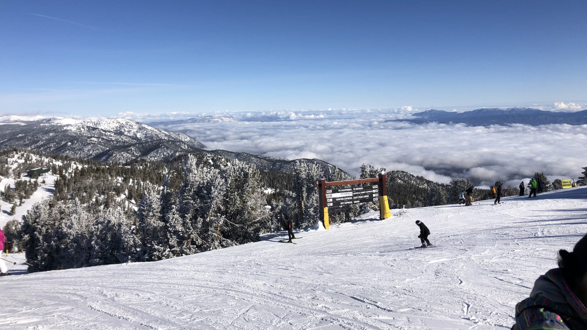 Skifahrer im Bayerischen Wald © KenVu/iStock / Getty Images Plus via Getty Images