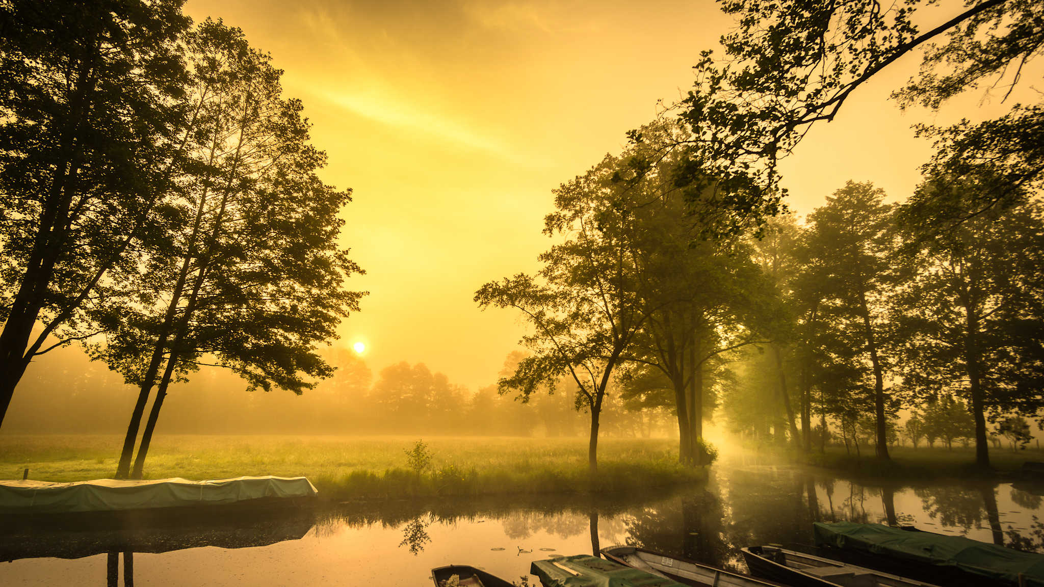 Ausblick von einem kleinen Spreewald-Hafen auf abzweigende Wasserwege in einer vernebelten Wald- und Wiesenlandschaft bei aufgehender Sonne.