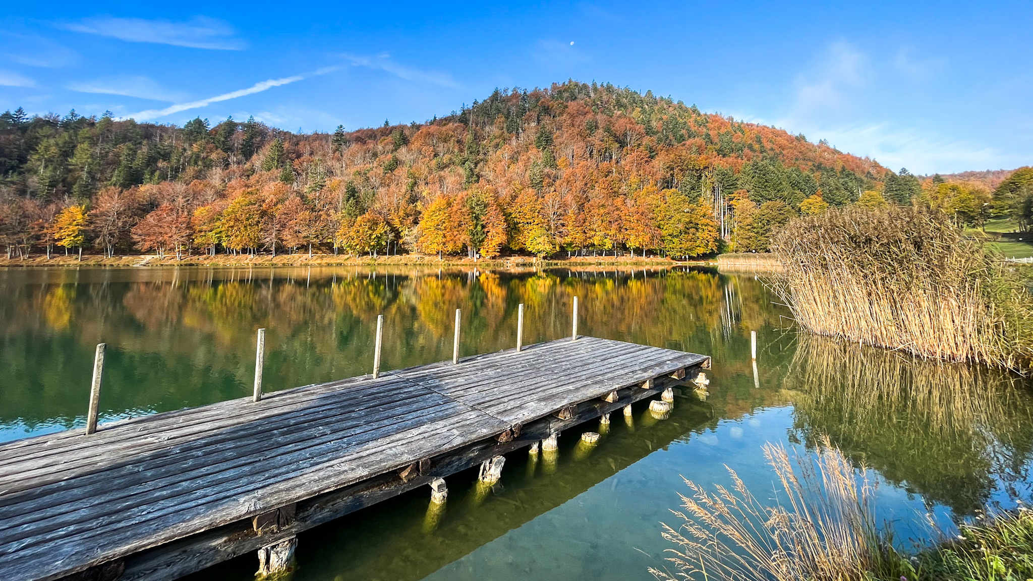 Ein hölzerner Steg ragt in den klaren Lavarone-See, umgeben von herbstlich gefärbtem Wald und einem blauen Himmel.