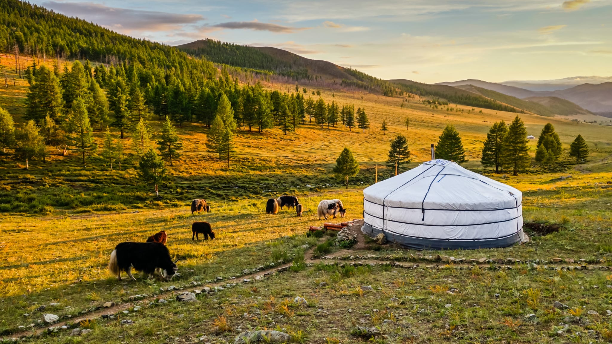 Steppe, Mongolei © Christian Kornacker - stock.adobe.com