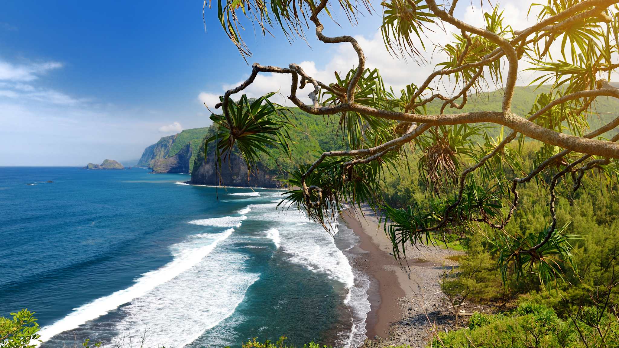 Blick durch ein paar Zweige auf einen sandig-steinigen Strand und die weitere Küste vor bewachsenen Bergen im Pololu Valley auf Hawaiis Big Island.