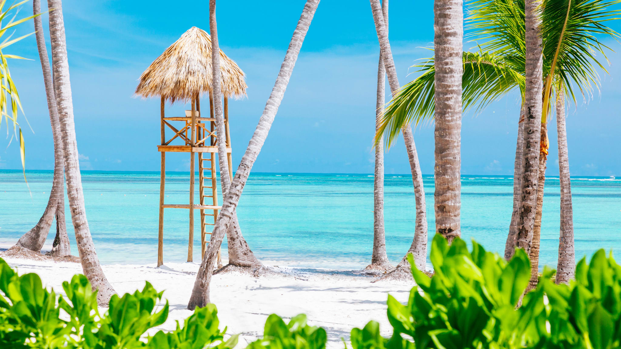 Strand in der Dominikanischen Republik © Andrey Danilovich/iStock / Getty Images Plus via Getty Images