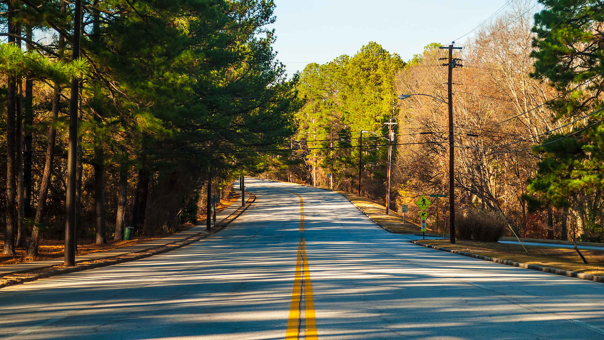 Eine mit Bäumen gesäumte Straße mit gelbem Mittelstreifen