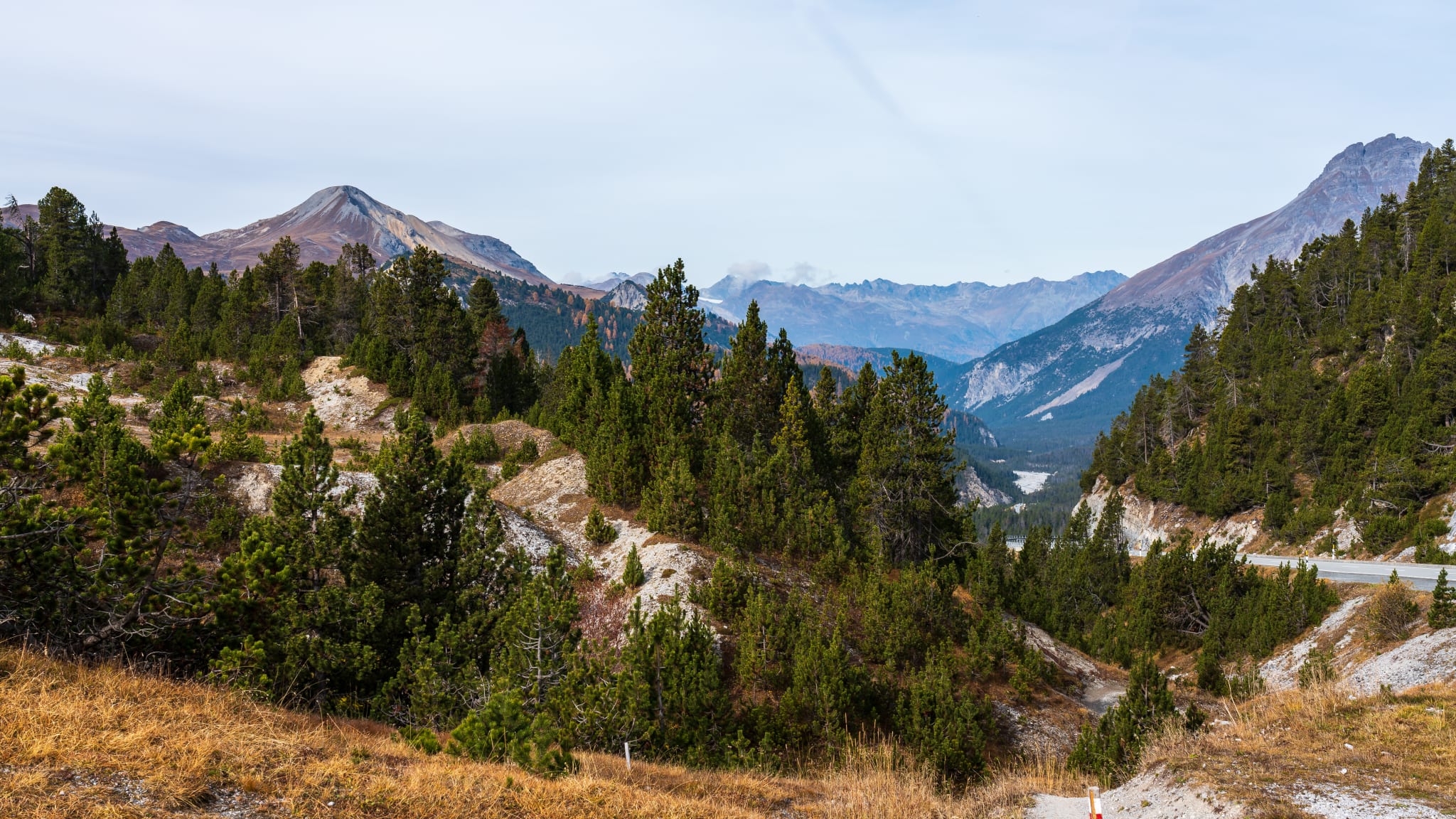 Straße zum Ofenpass Fuorn passieren- m Val Müstair©Rudolf Ernst/iStock / Getty Images Plus via Getty Images