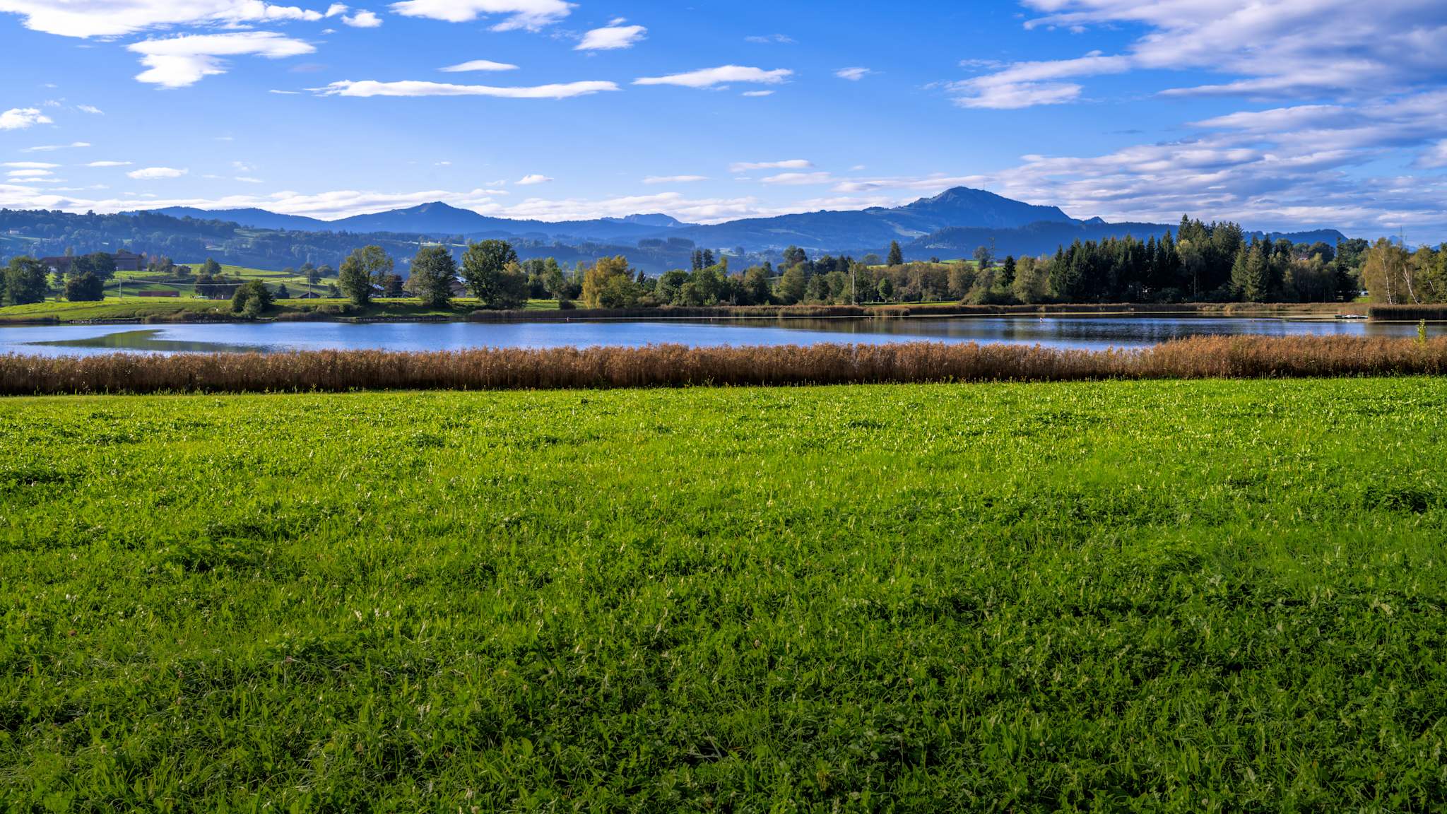 Blick von einer grünen Wiese aus auf den Sulzberger See bei sonnigem Wetter, mit Bäumen und Bergen im Hintergrund