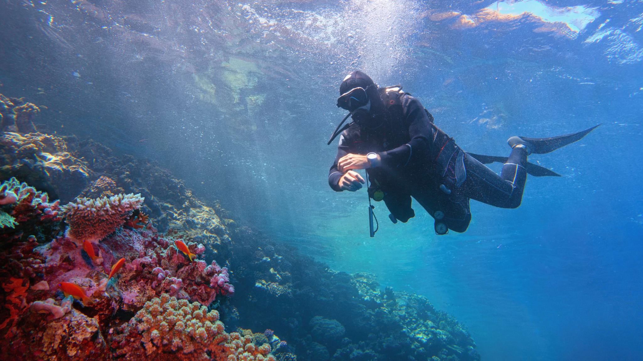 Marsa Alam: Die besten Tauch- & Schnorchelspots am Roten Meer – mit Karte